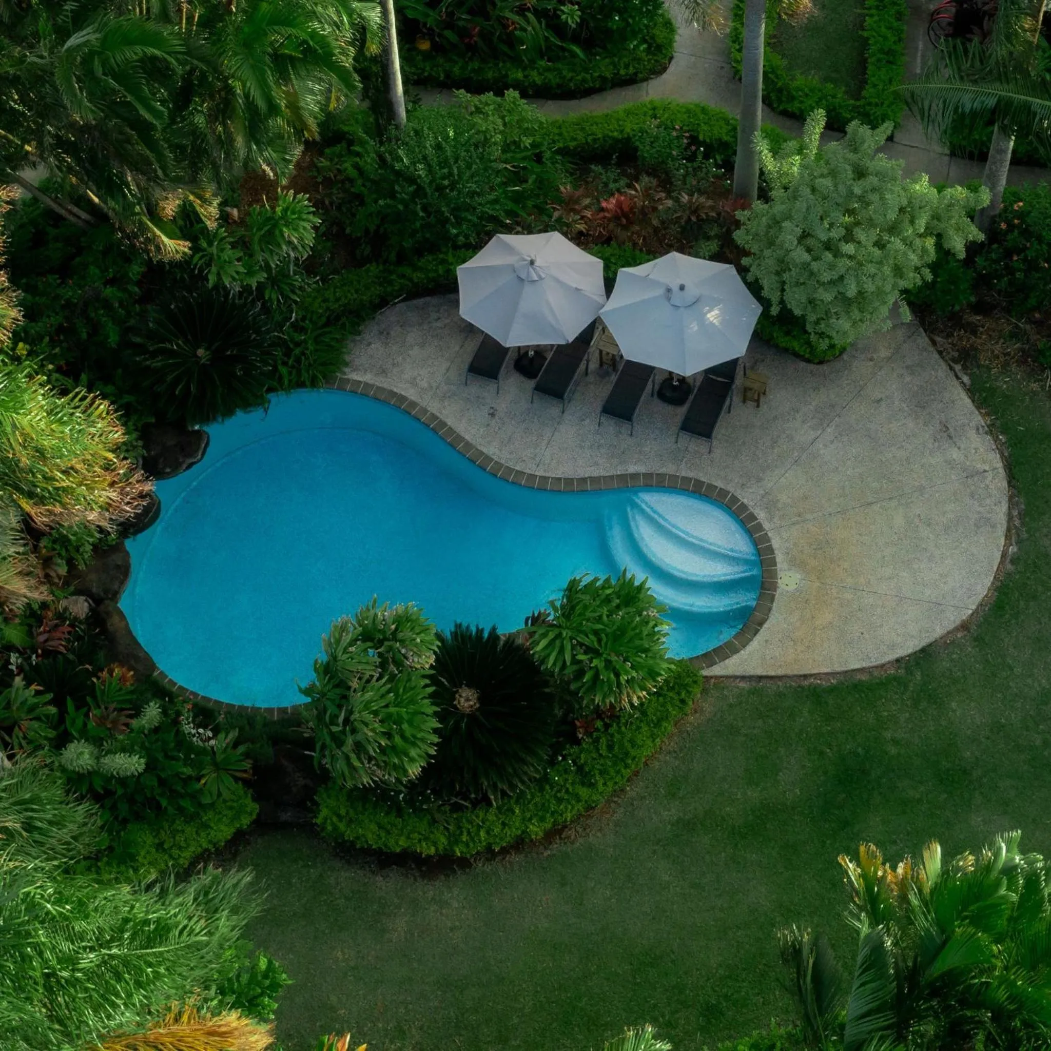 Natural landscape in Ikurangi Eco Retreat