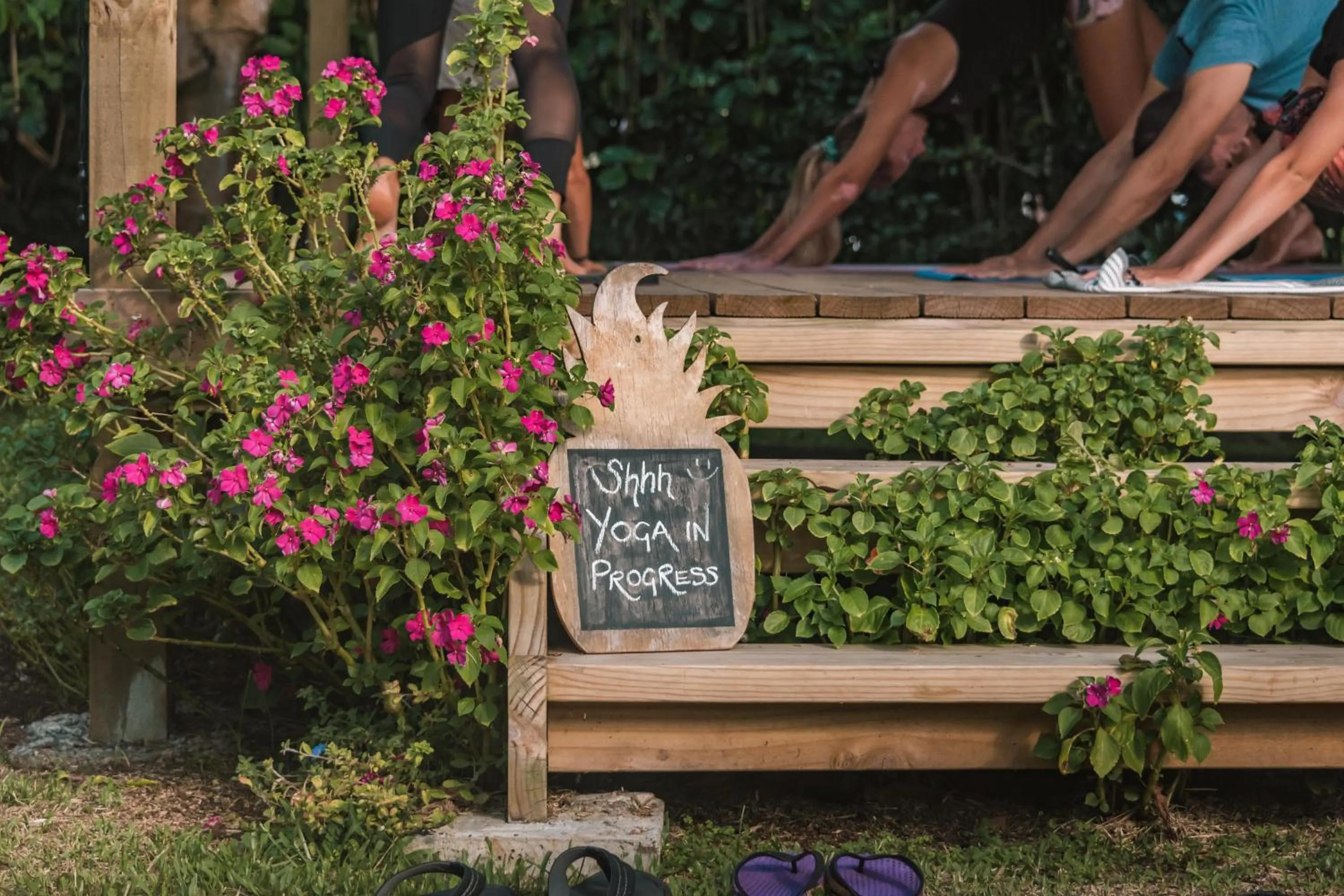 Activities in Ikurangi Eco Retreat