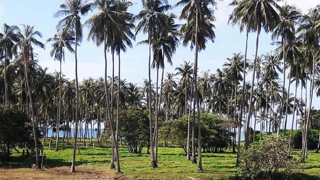 Day in Peace Lanta Mansion