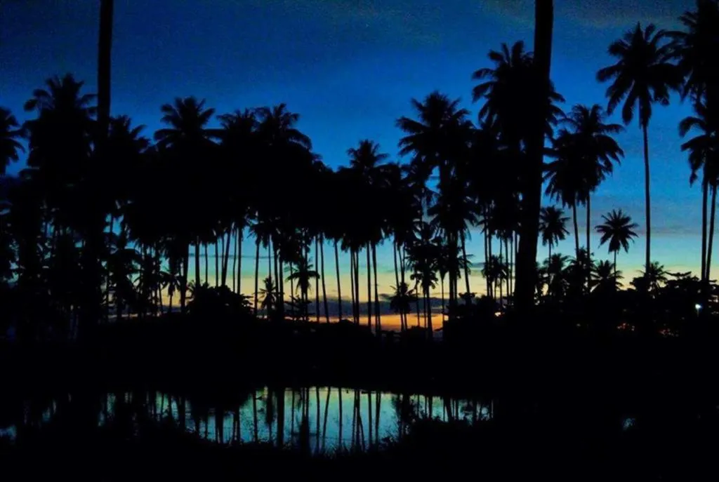 Natural landscape in Peace Lanta Mansion