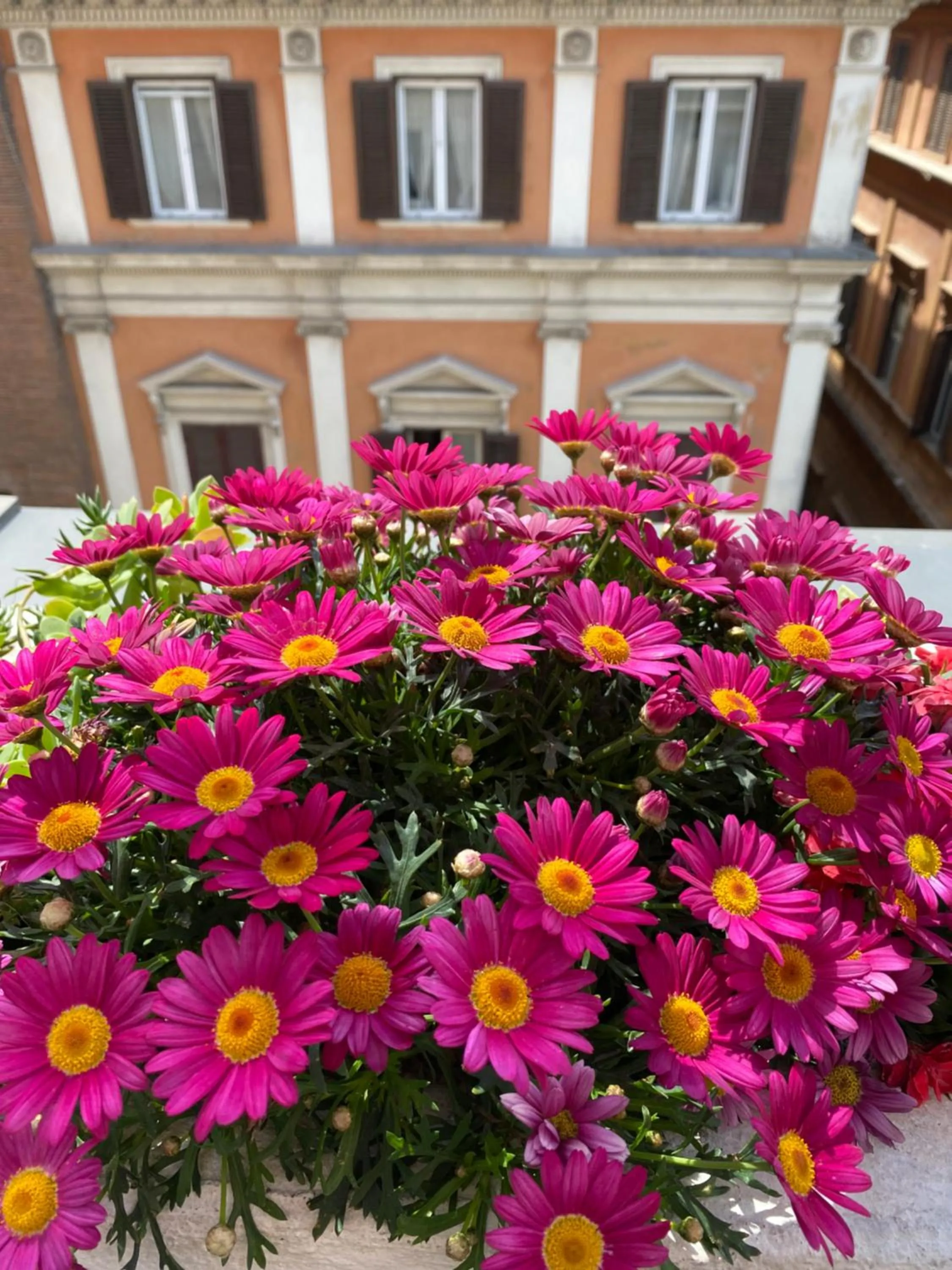 City view in Terrazza Marco Antonio Luxury Suite