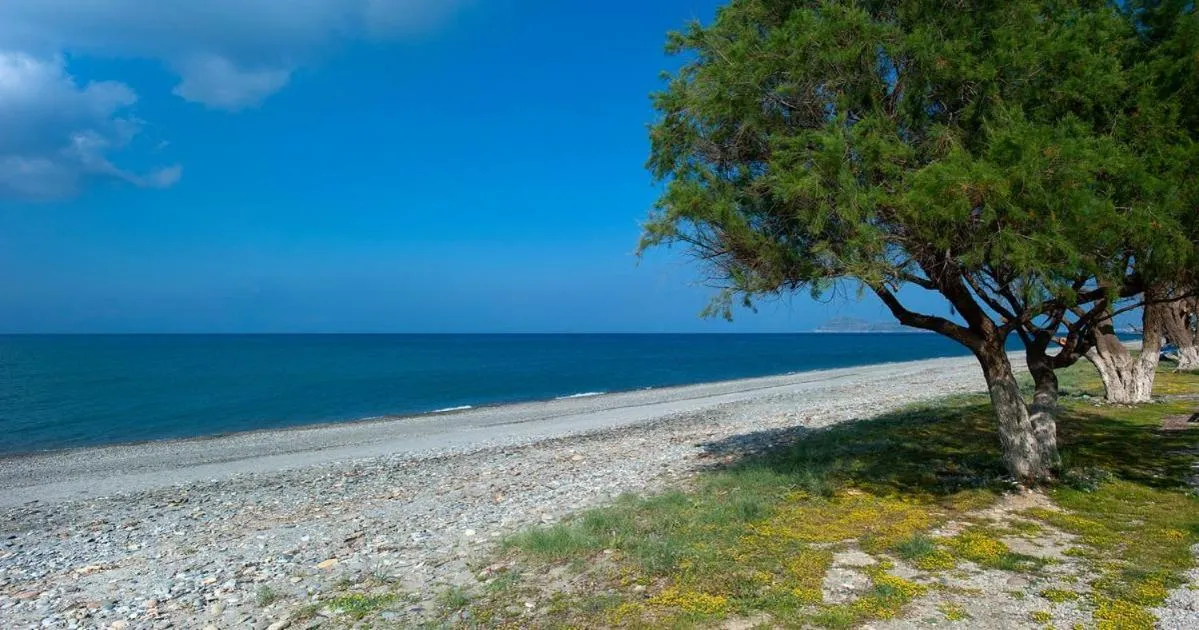 Spring in Ledra Maleme Hotel