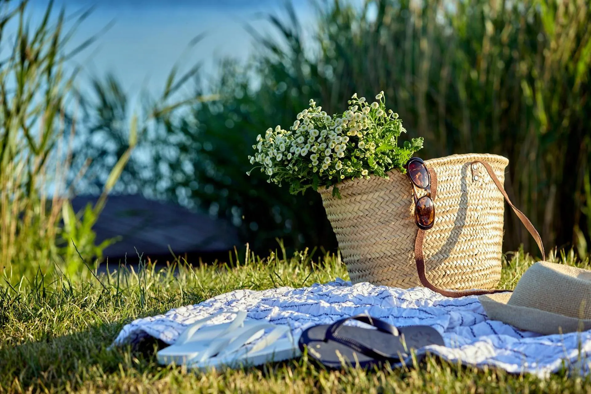 Garden view in Kurort Stara Wędzarnia