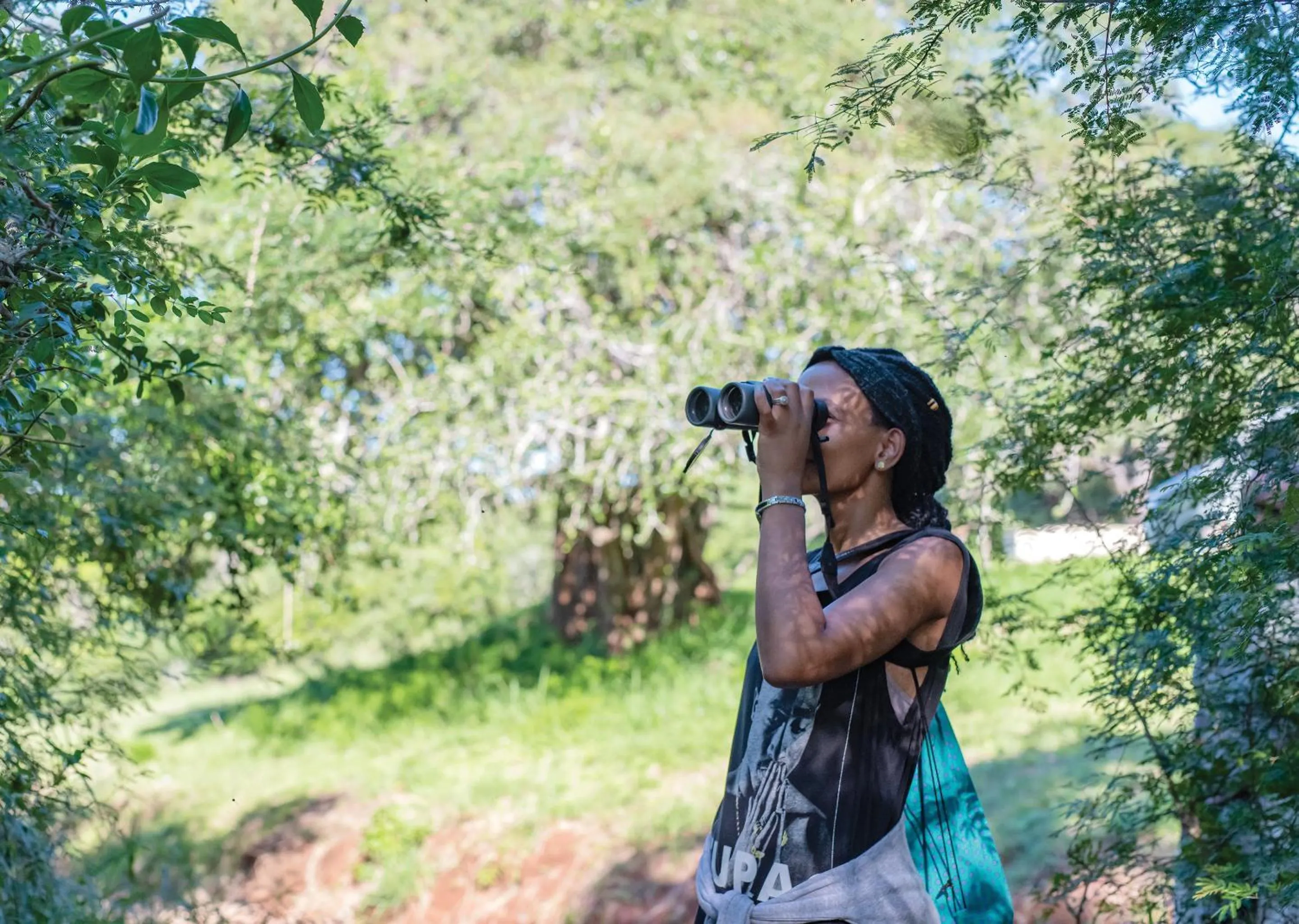 Spring in Malkoha Lake St Lucia