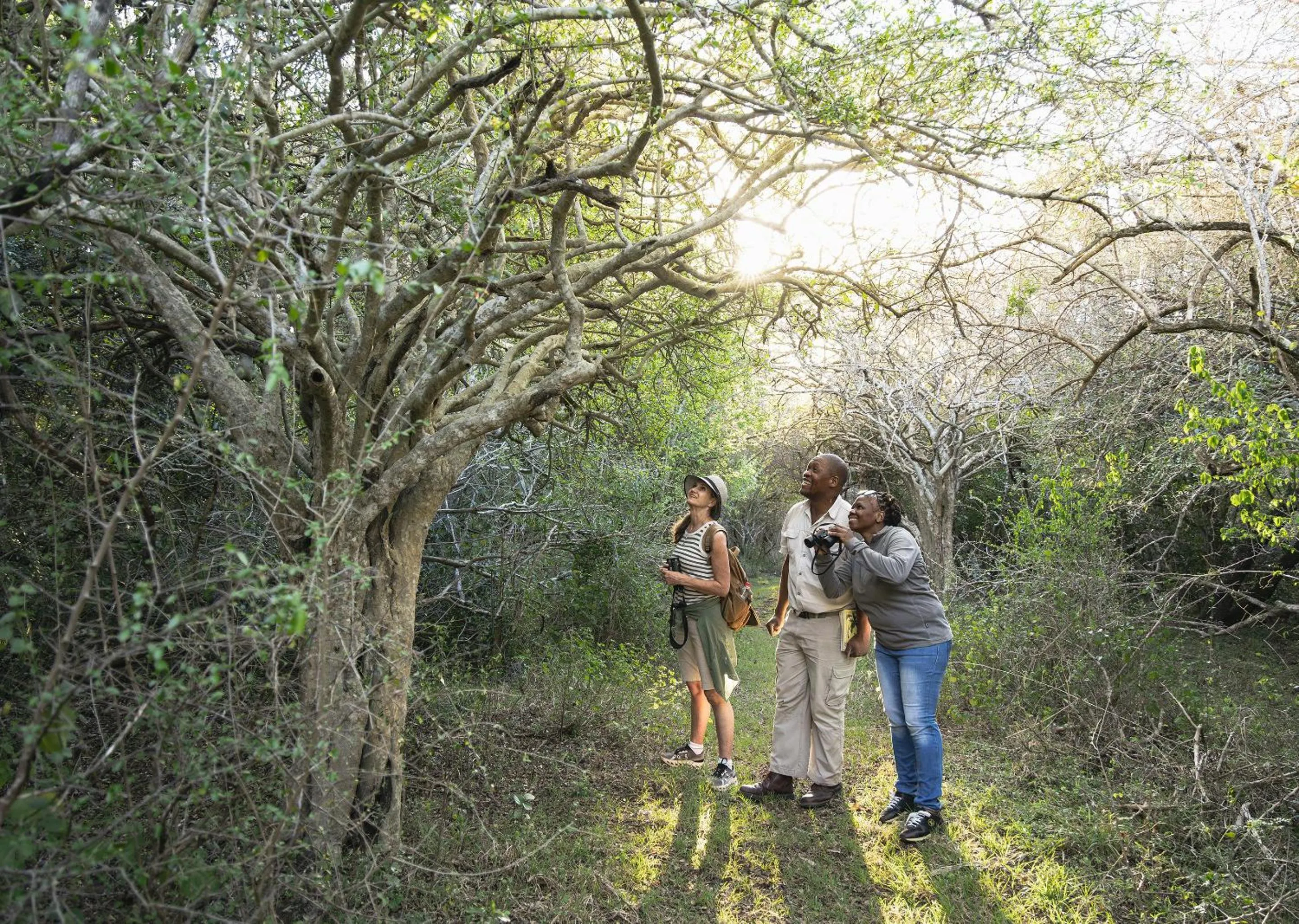 Spring in Malkoha Lake St Lucia