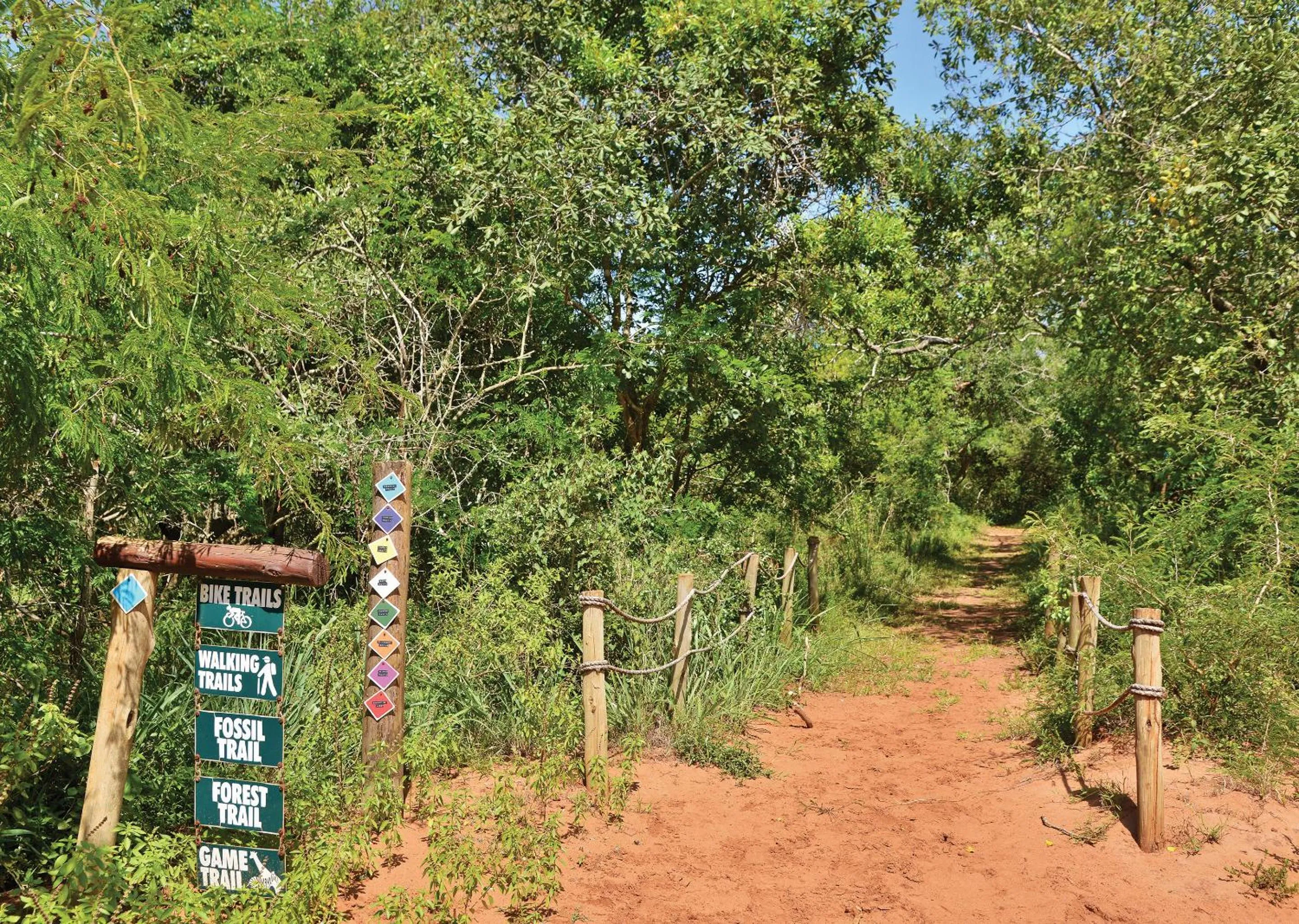 Spring in Malkoha Lake St Lucia