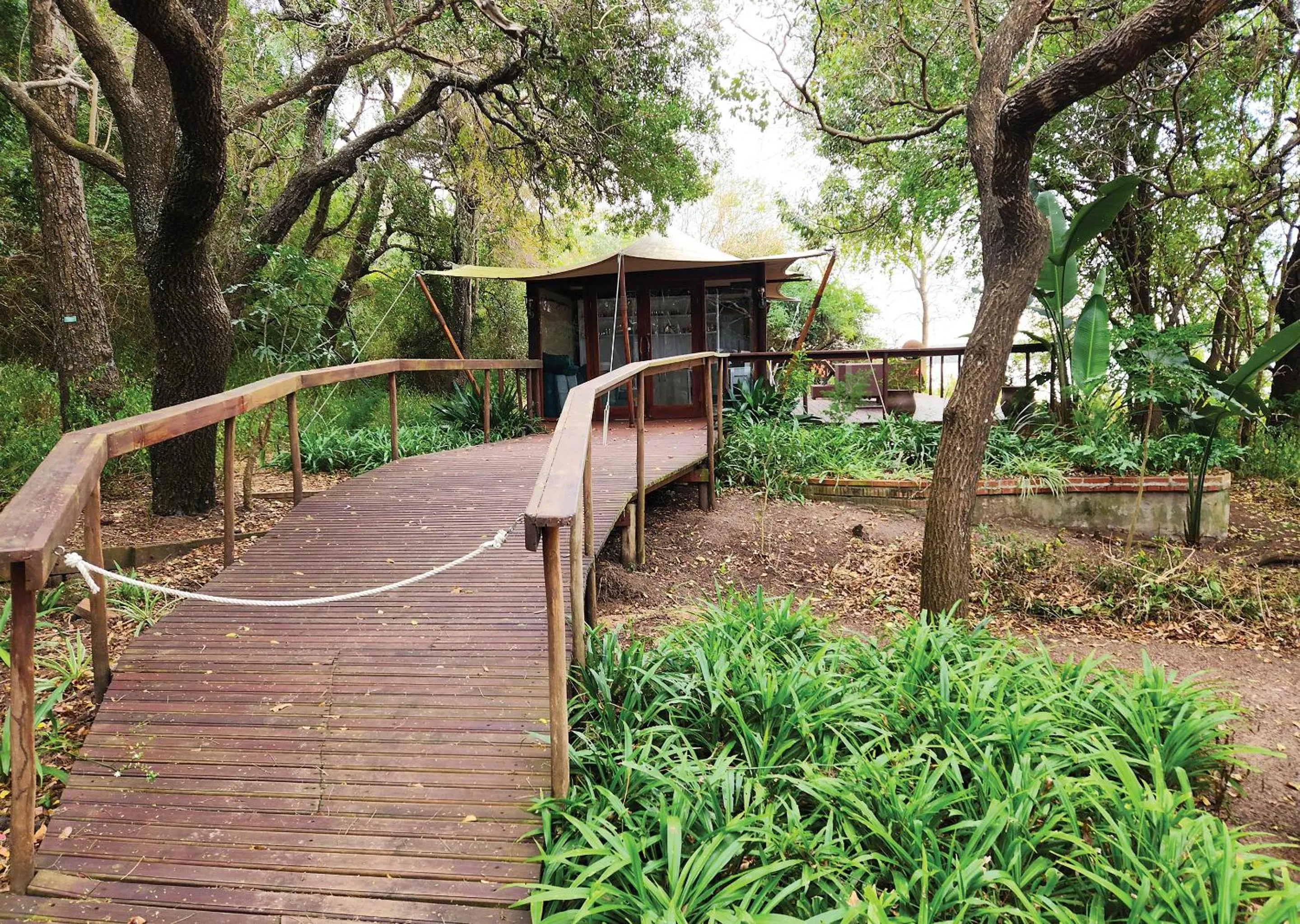 Spring in Malkoha Lake St Lucia