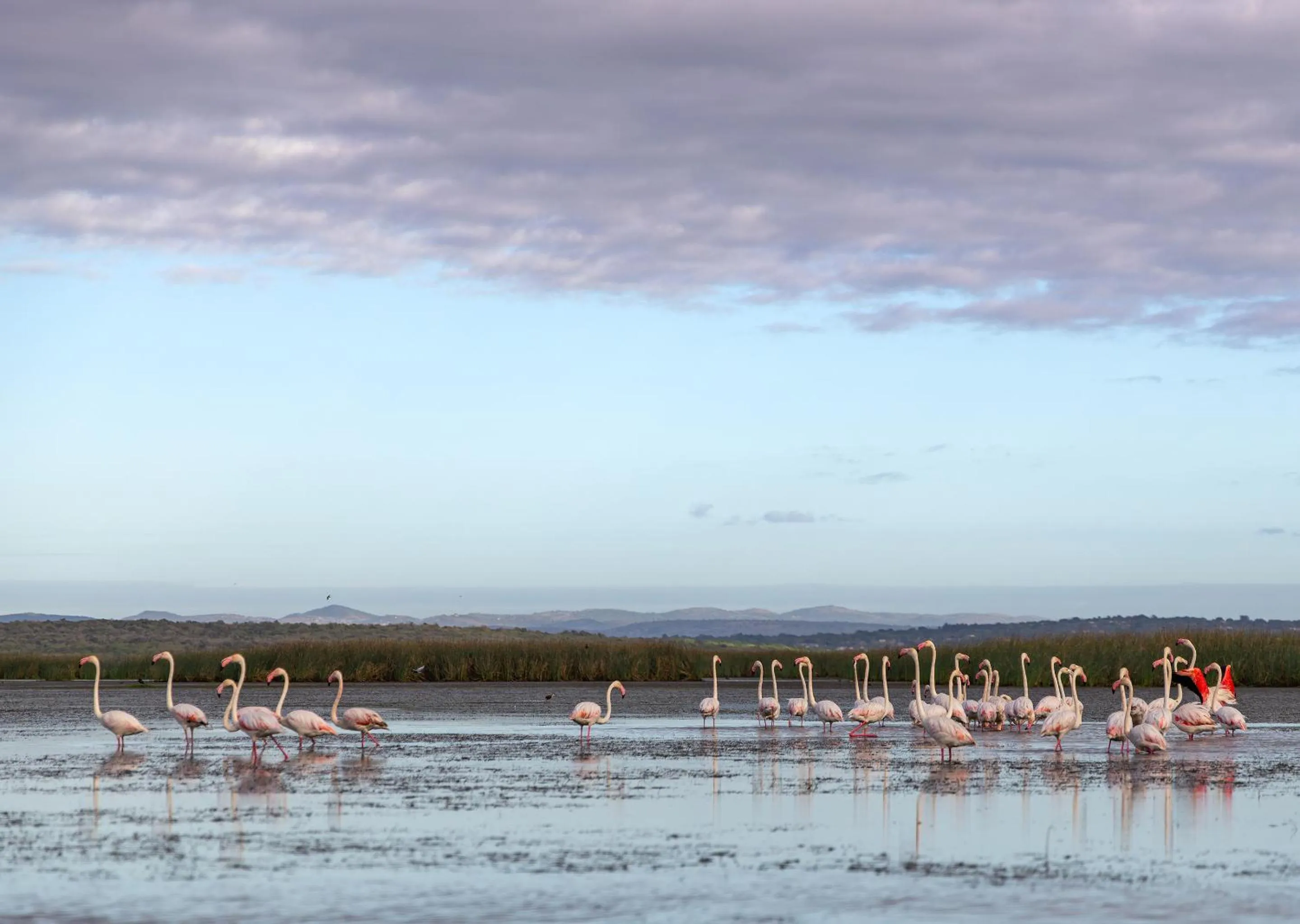 Day in Malkoha Lake St Lucia
