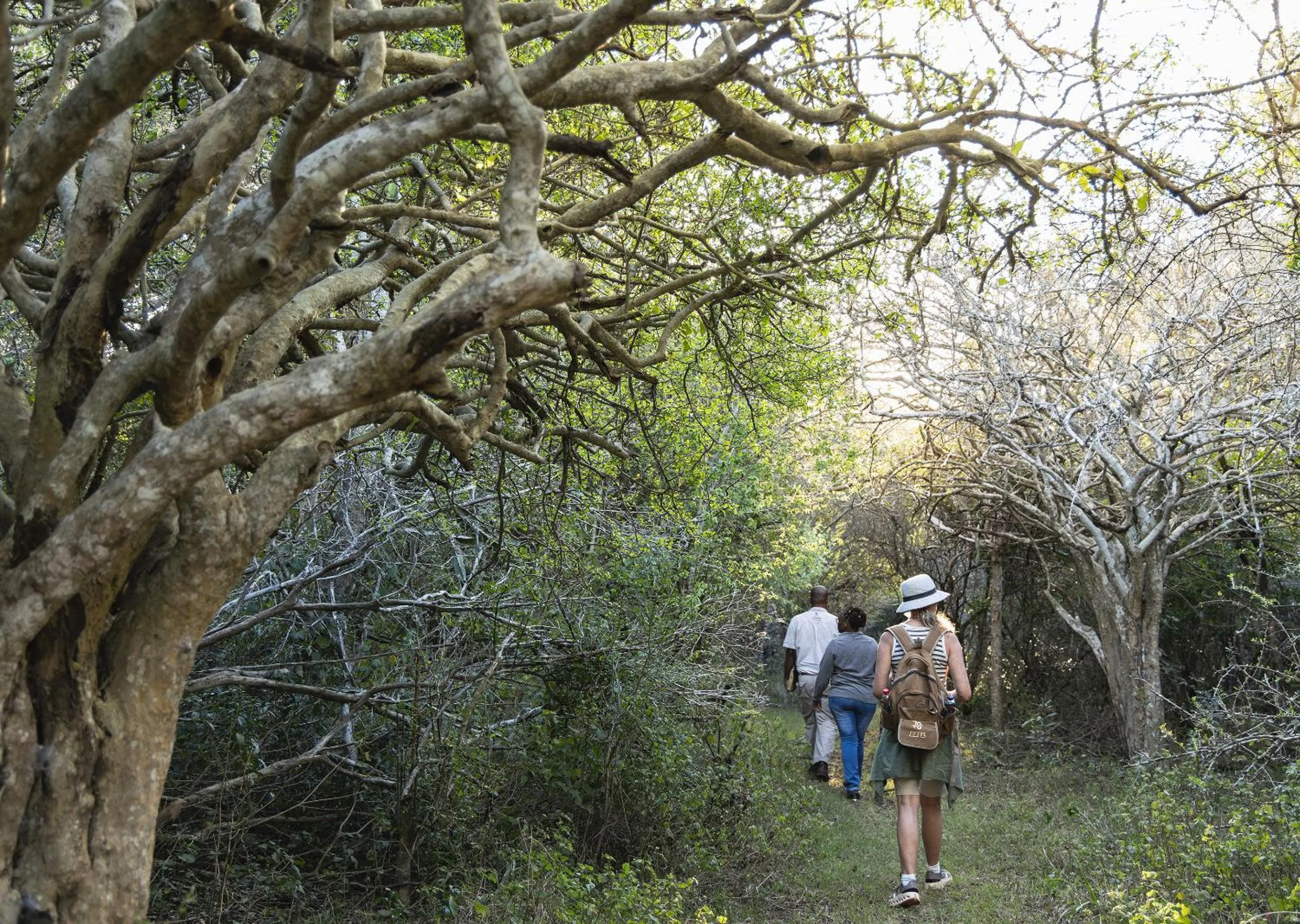 Spring in Malkoha Lake St Lucia
