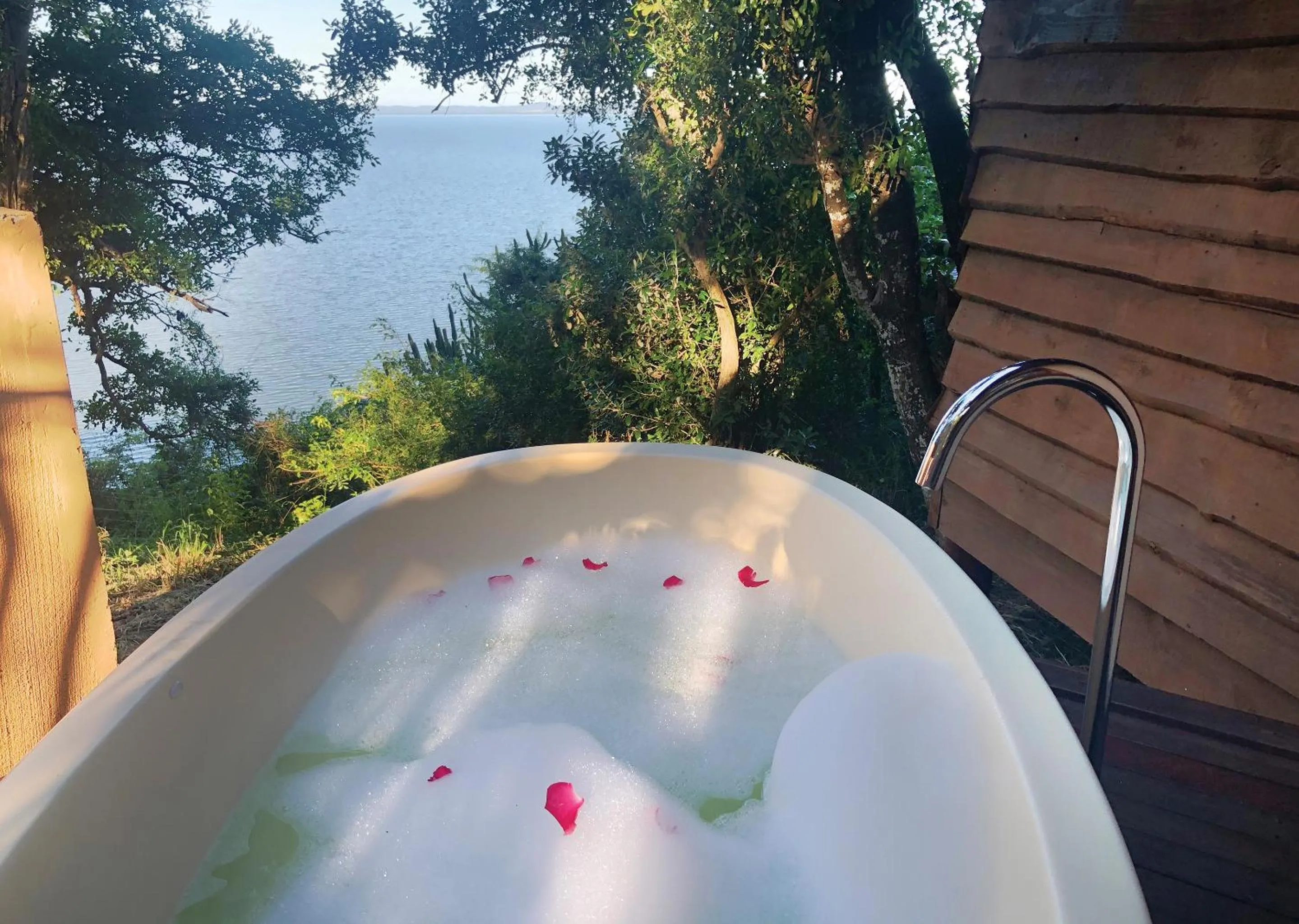 Natural landscape in Malkoha Lake St Lucia