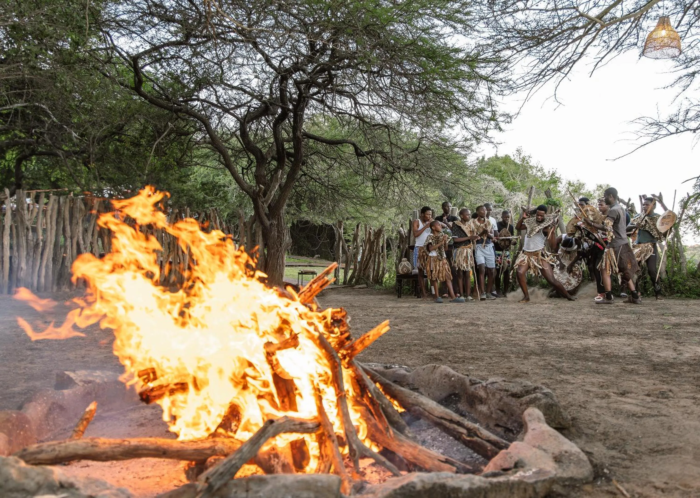 Day in Malkoha Lake St Lucia