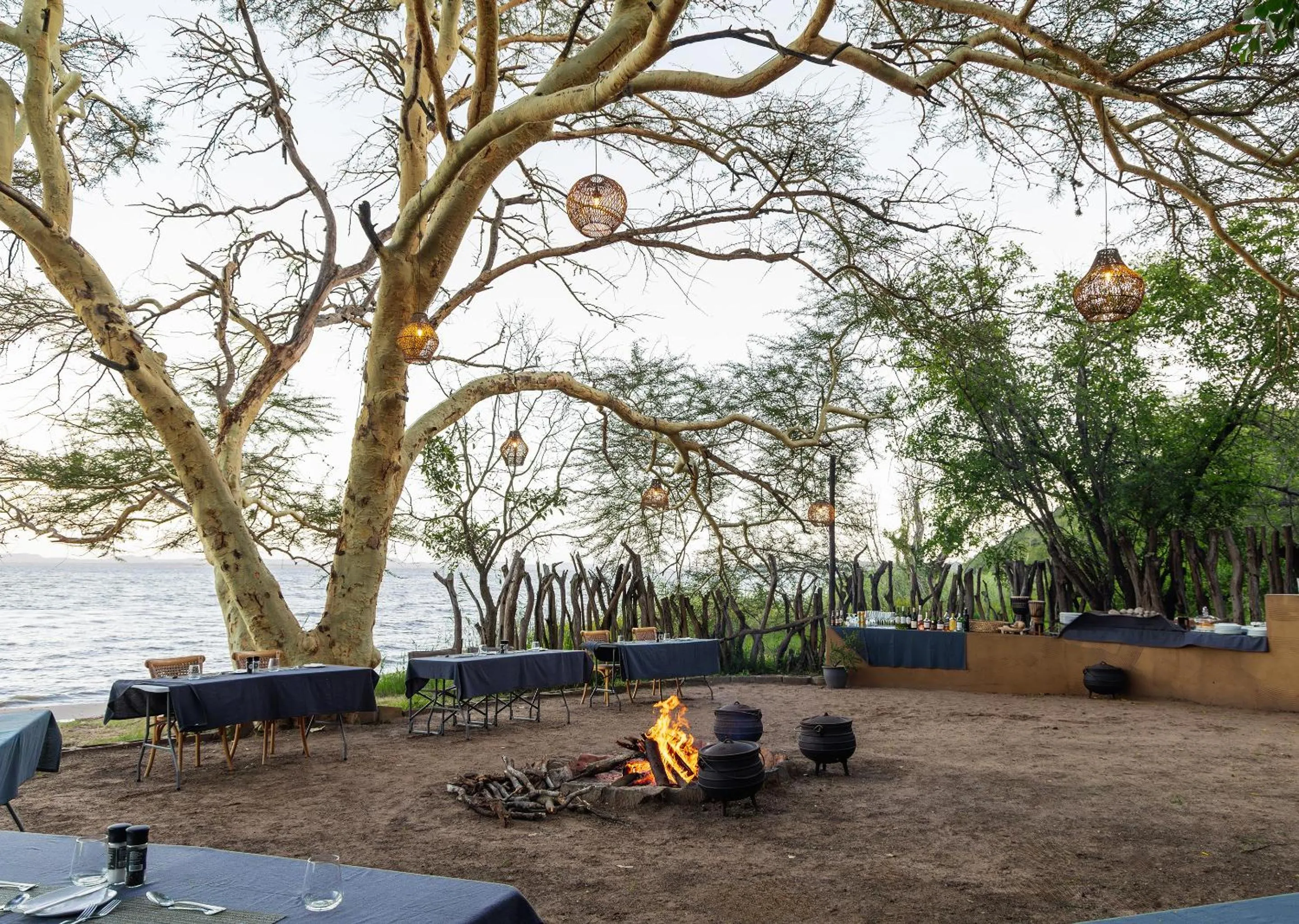 Spring in Malkoha Lake St Lucia