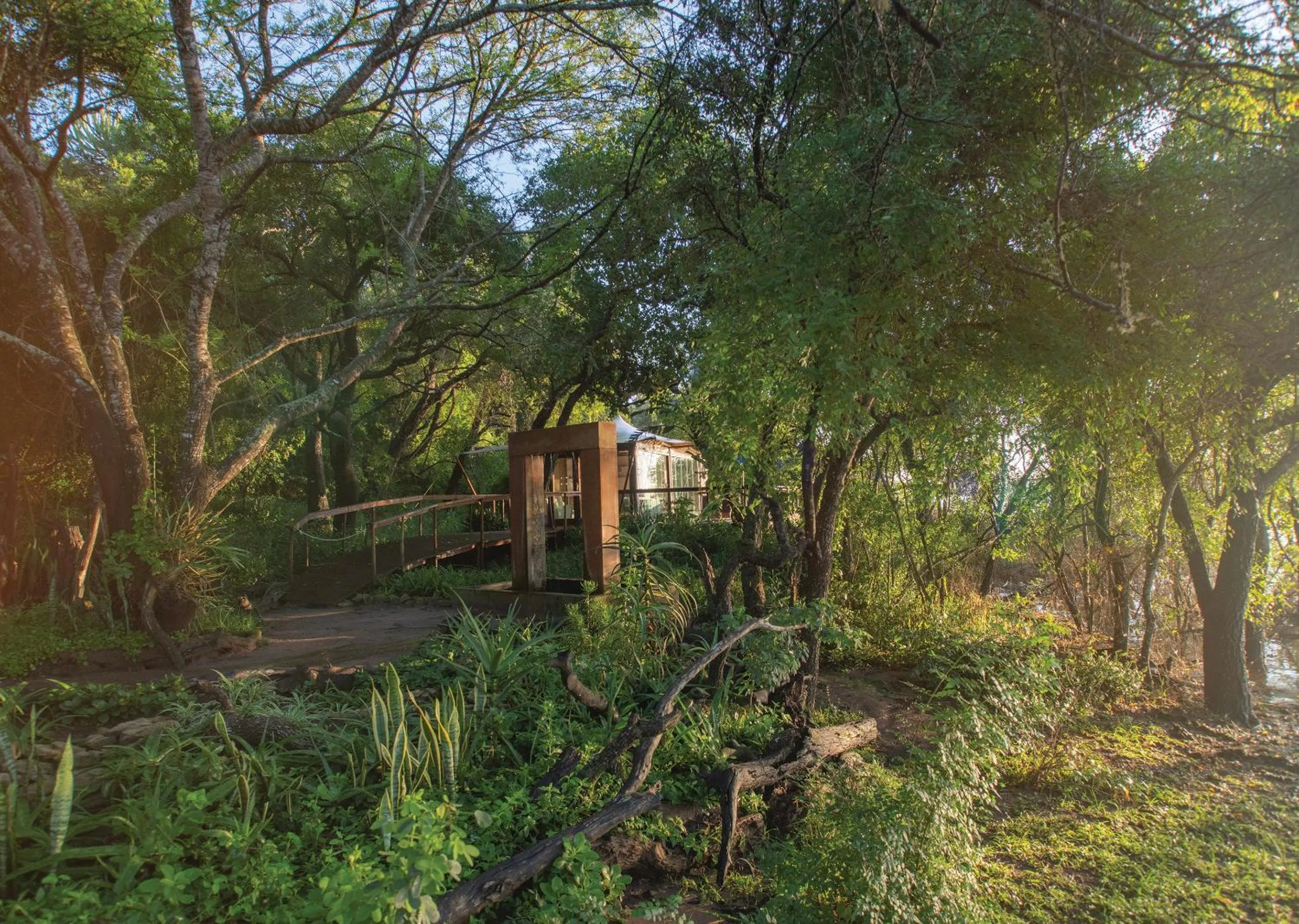 Spring in Malkoha Lake St Lucia