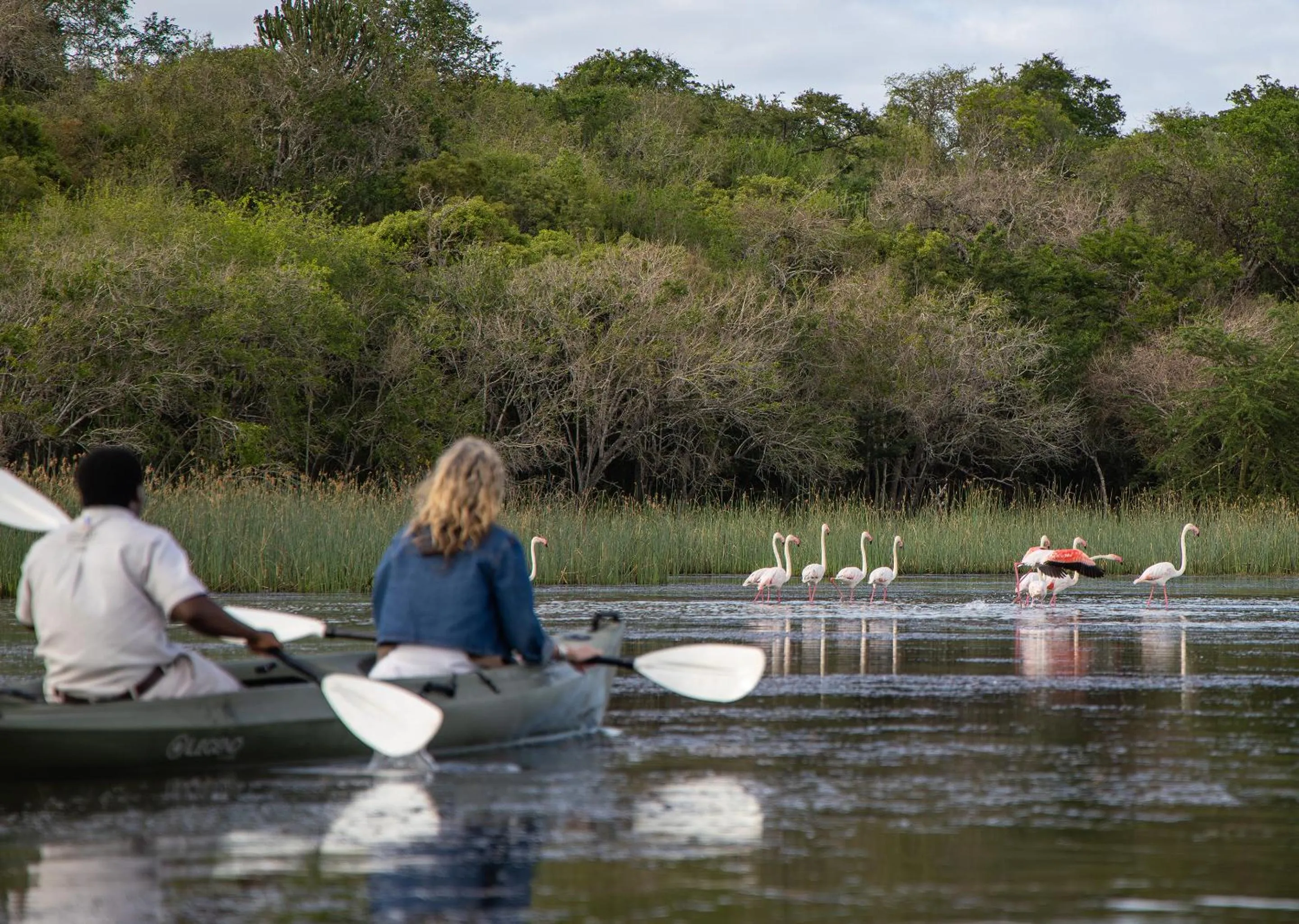 Day in Malkoha Lake St Lucia