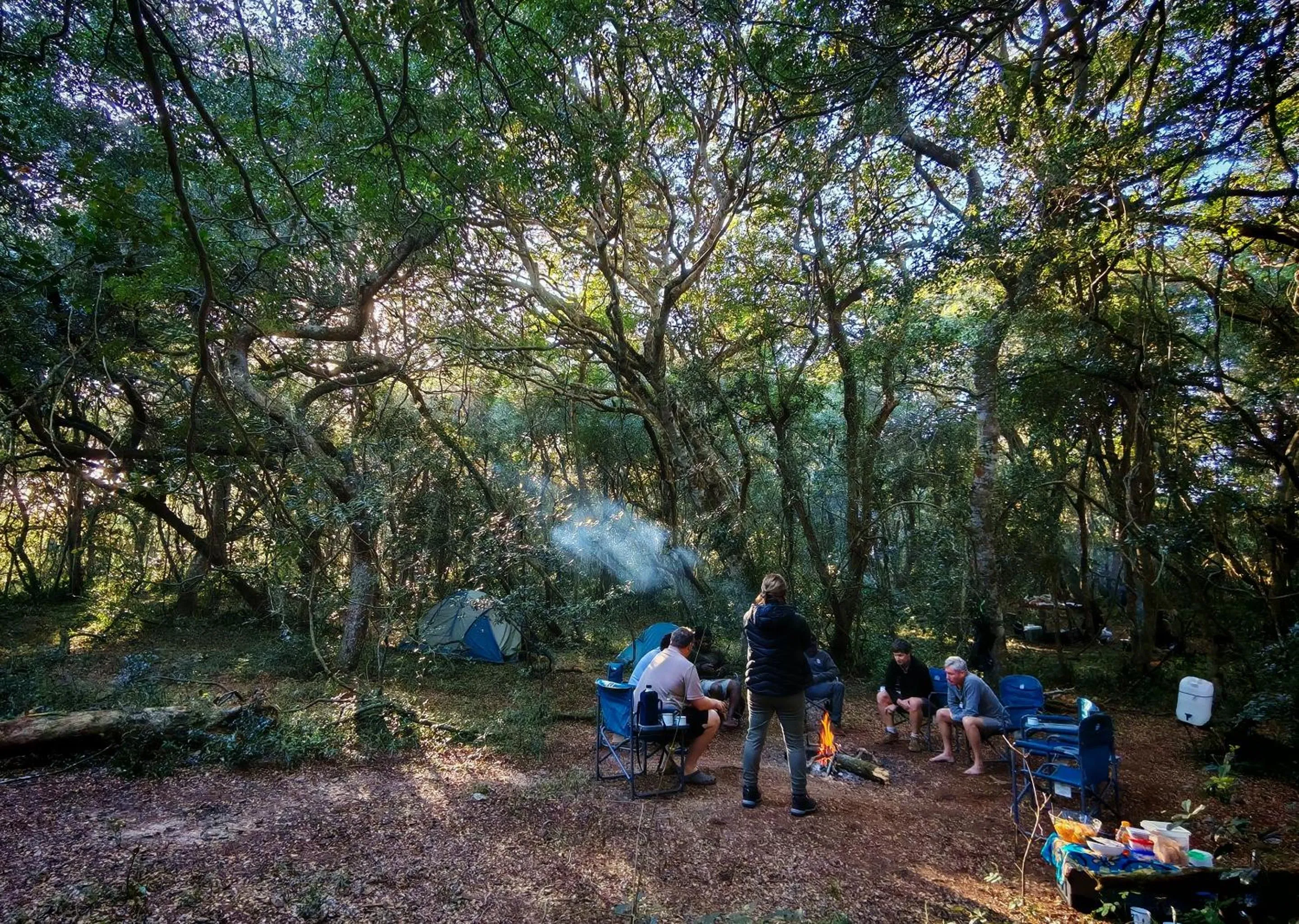 Spring in Malkoha Lake St Lucia
