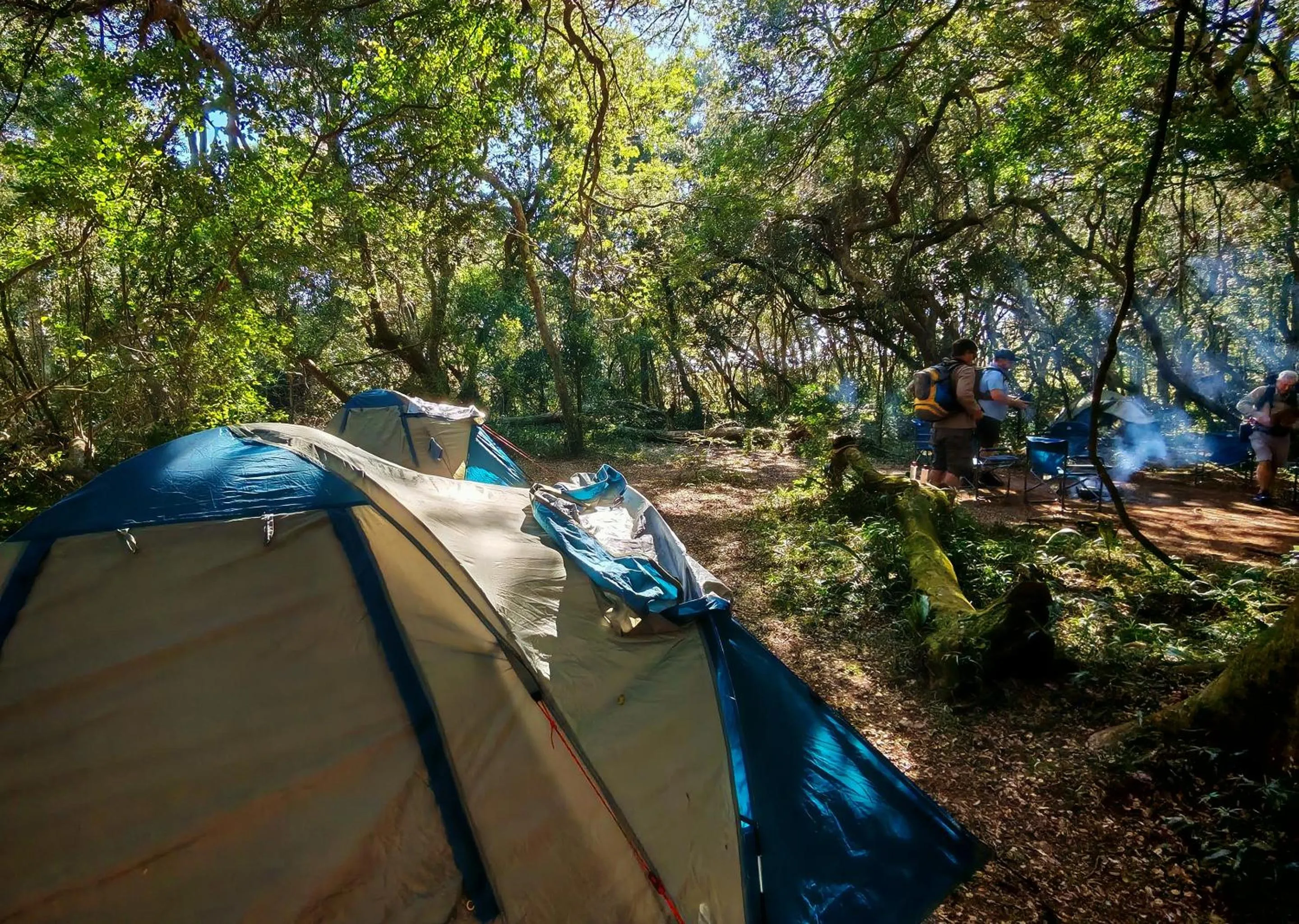 Spring in Malkoha Lake St Lucia