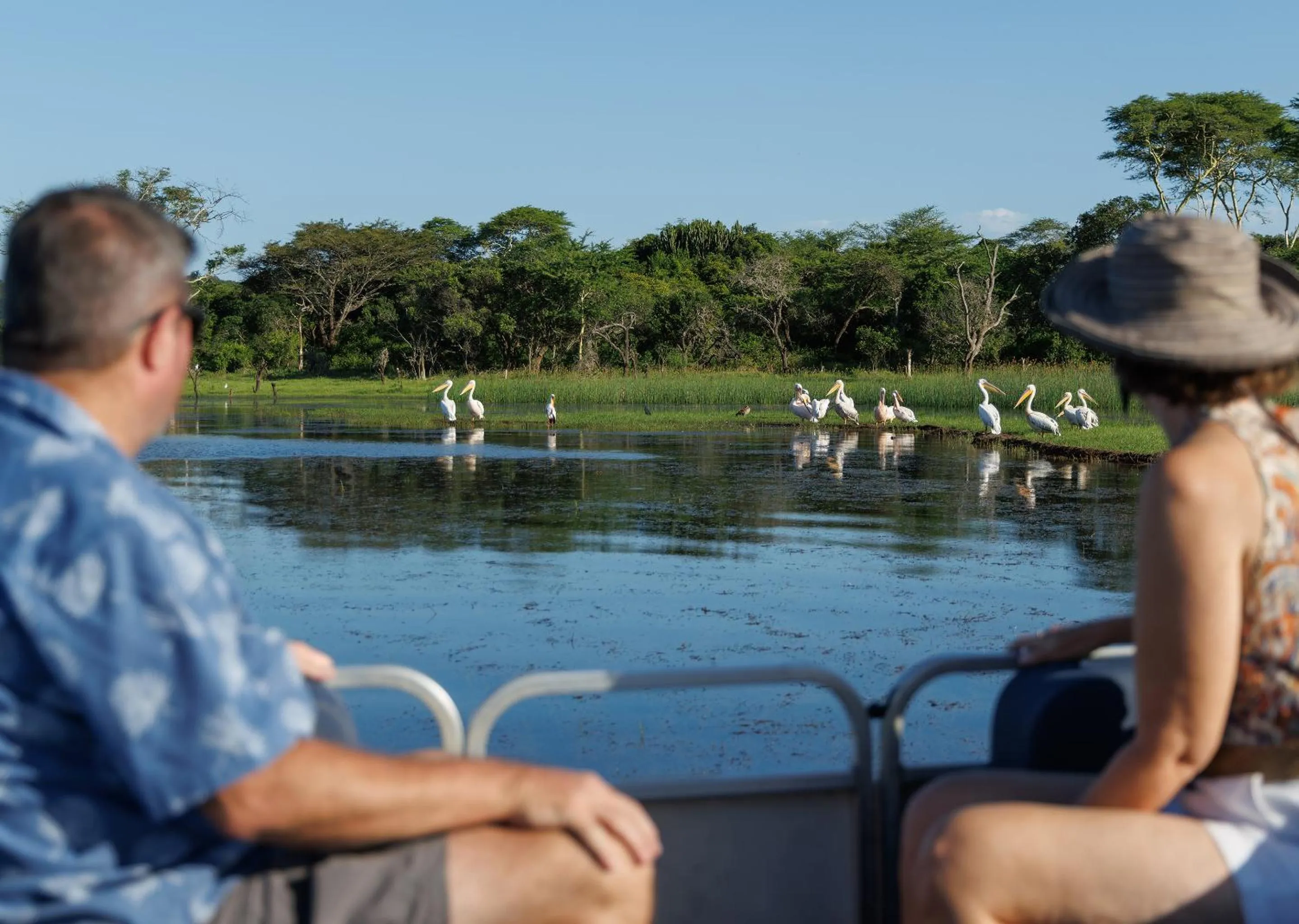 Day in Malkoha Lake St Lucia