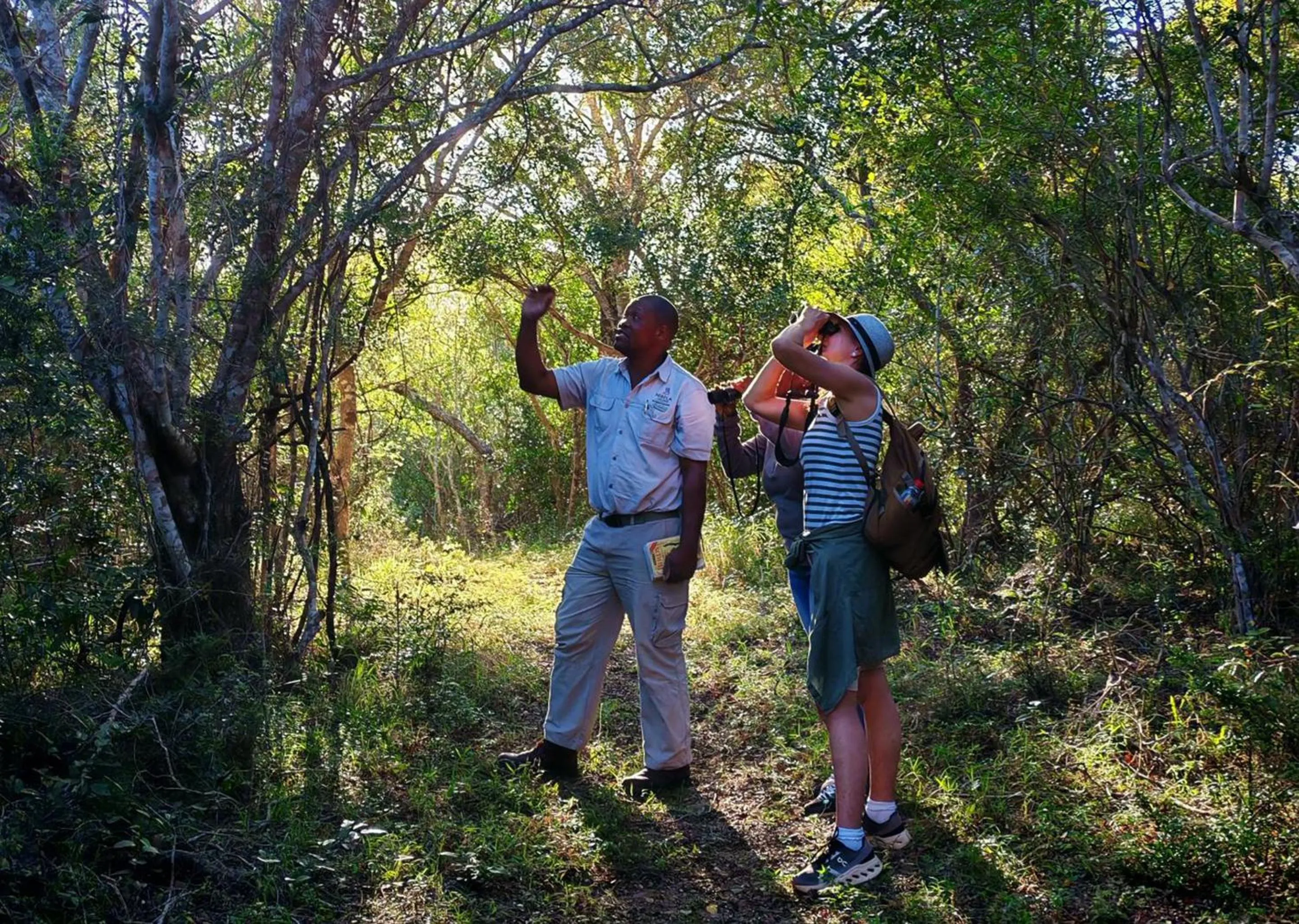 Spring in Malkoha Lake St Lucia