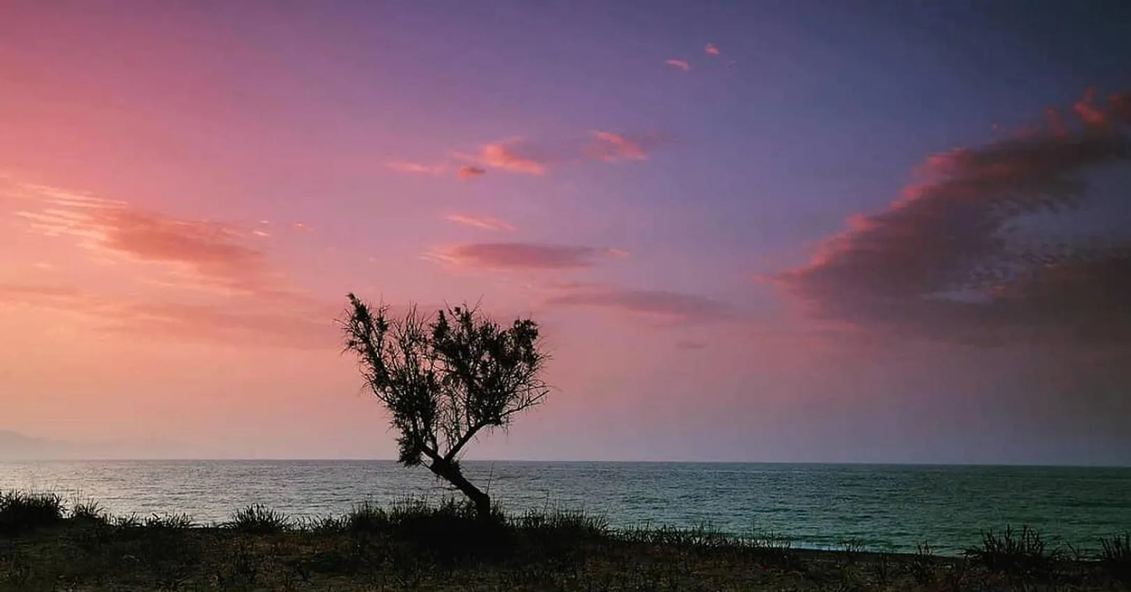 Natural landscape in Lito Beach Hotel