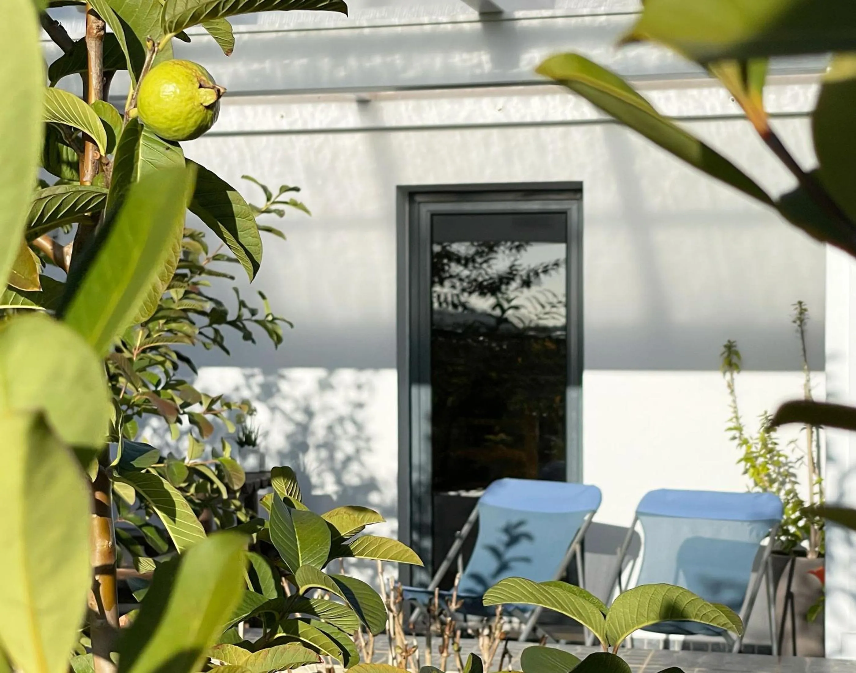 Garden view in Herdade do Kuanza