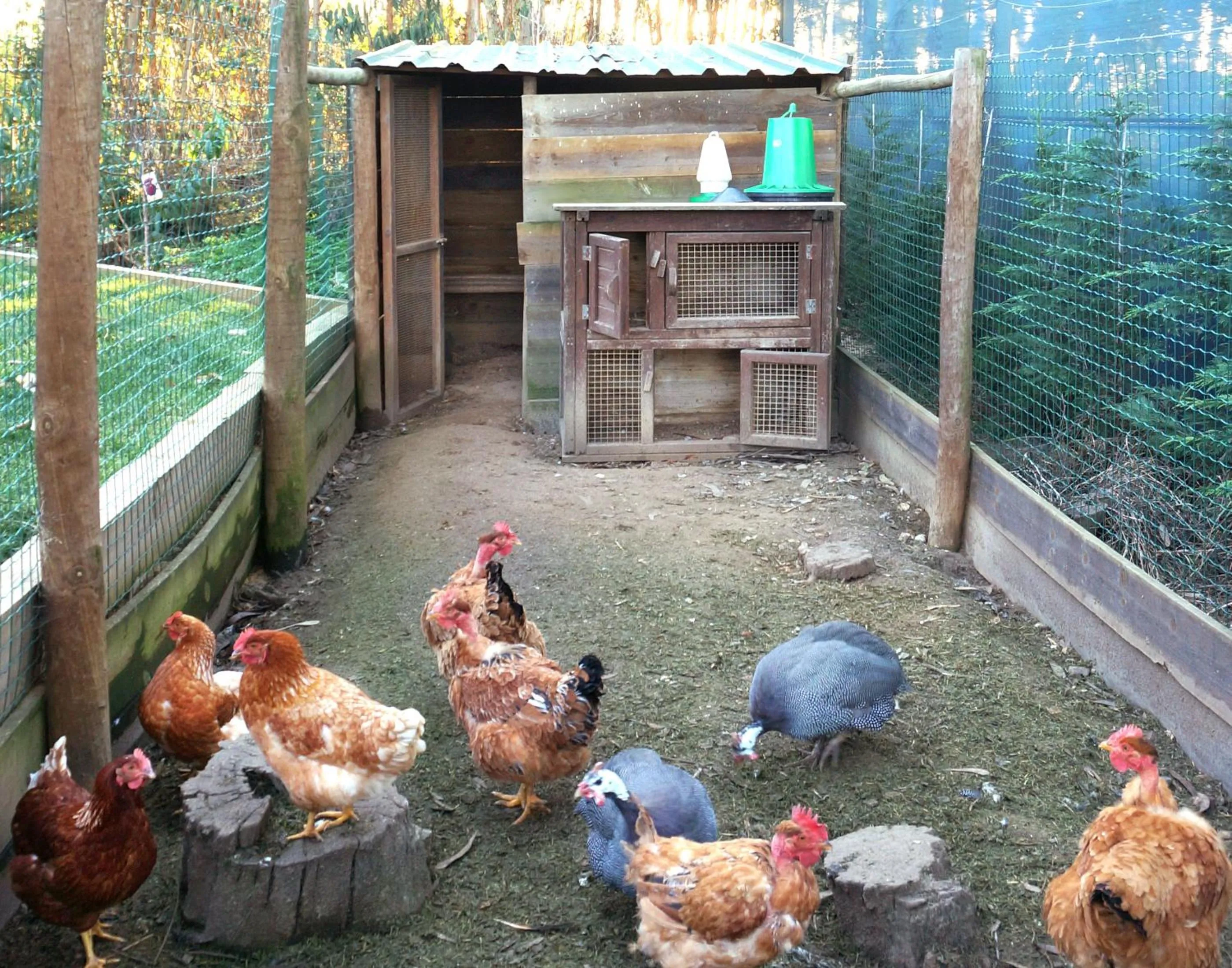 Animals in Herdade do Kuanza