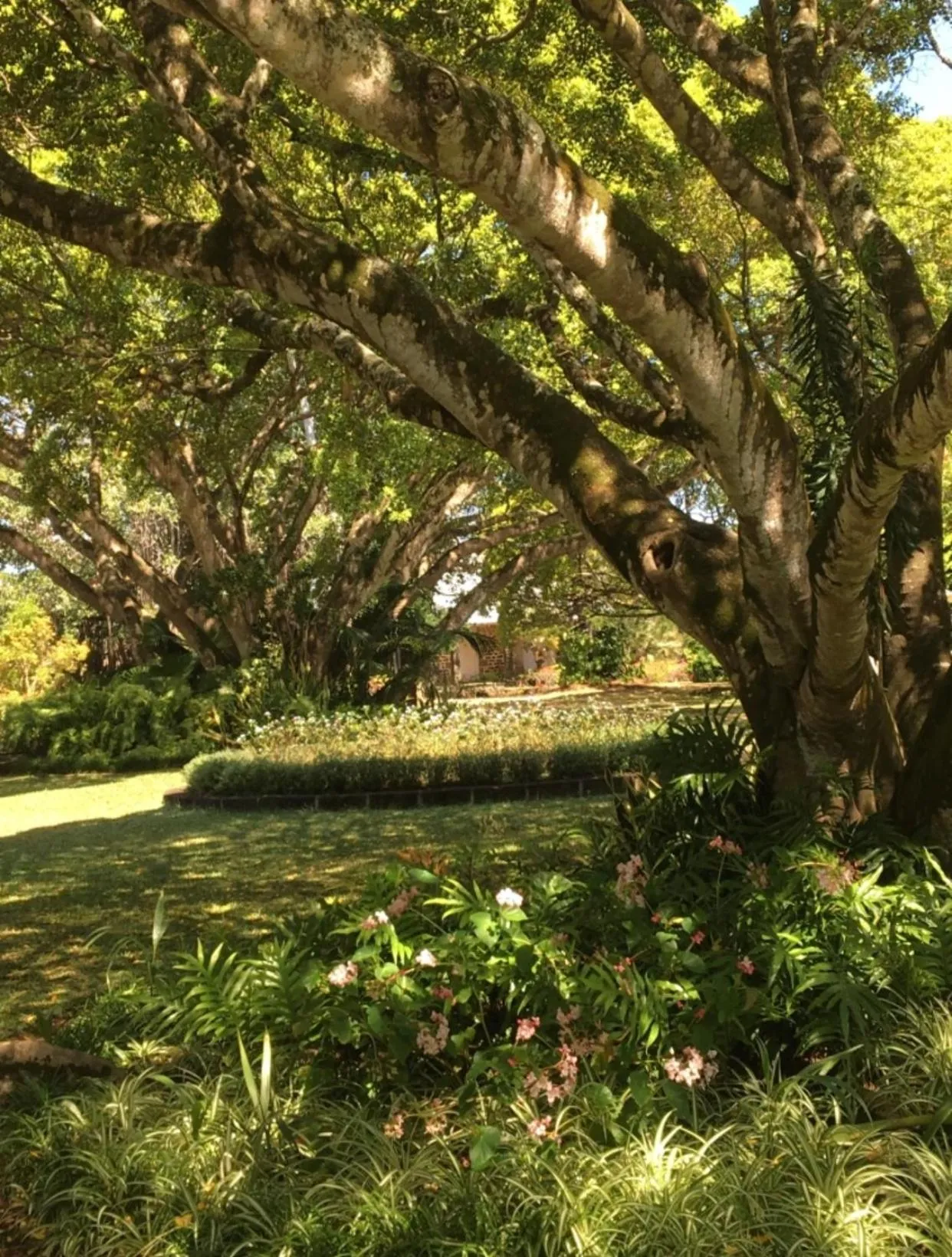 Property building in La Demeure Saint Antoine