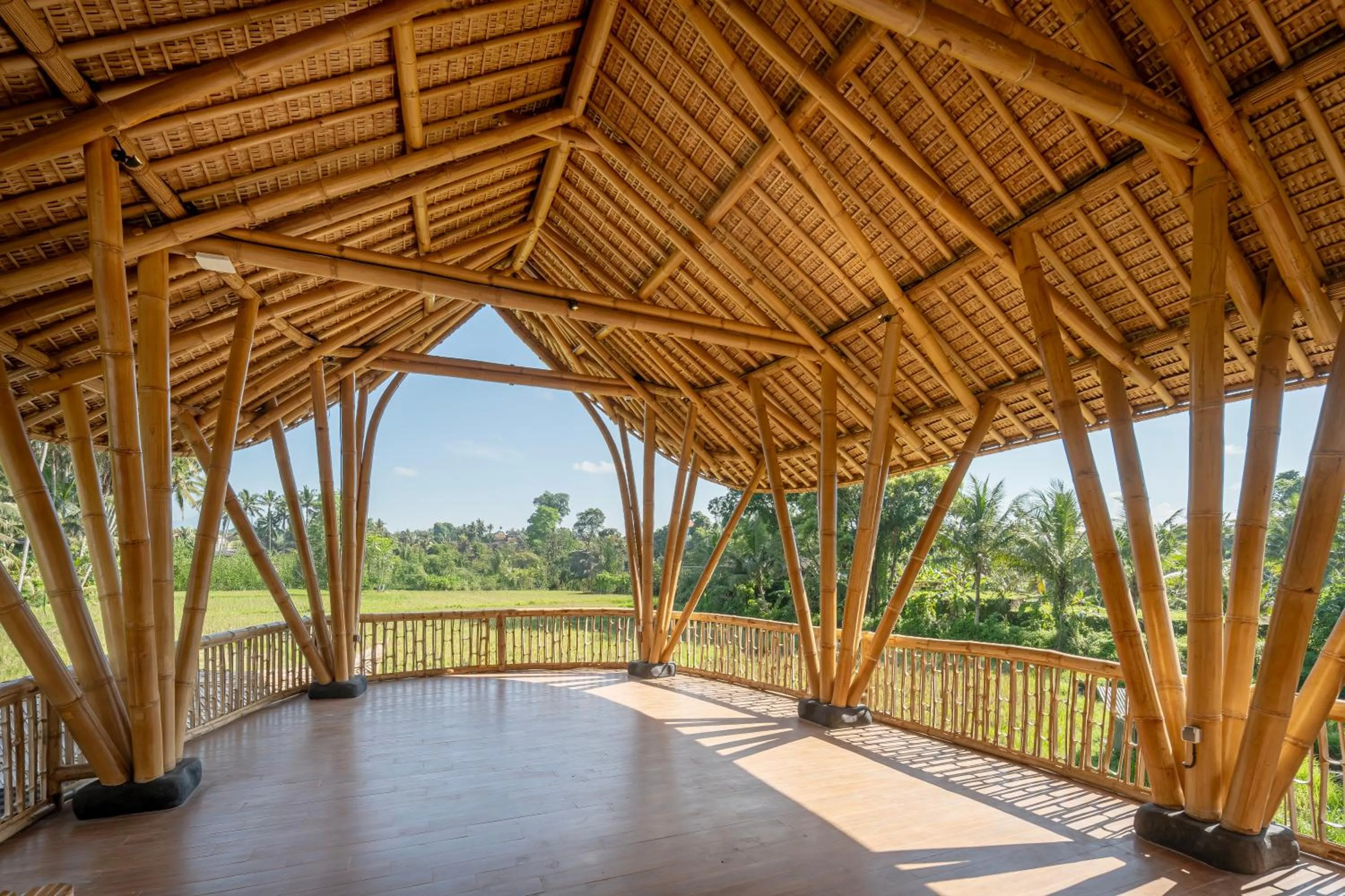 Day in Emana Bambooscape