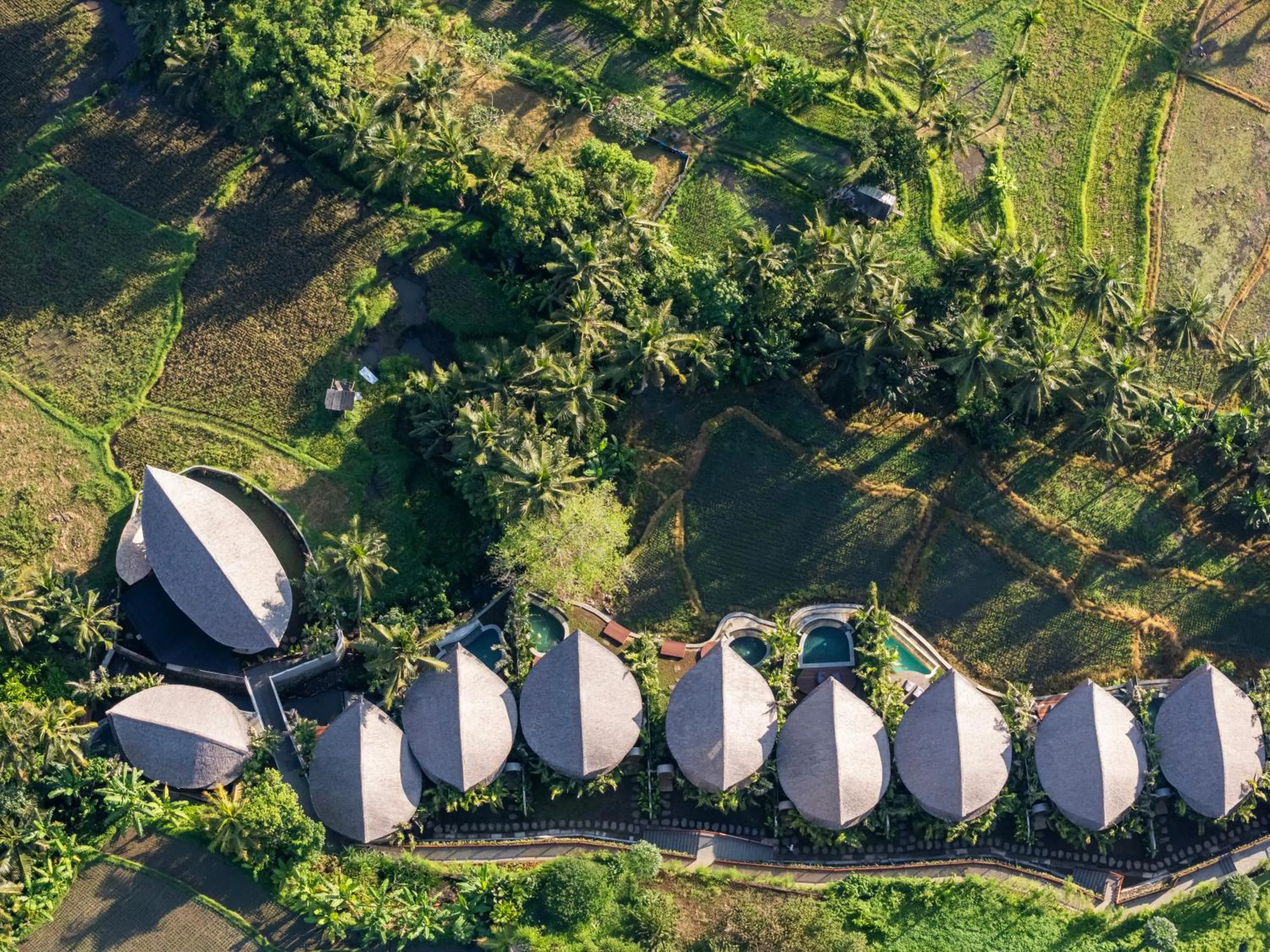 Natural landscape in Emana Bambooscape