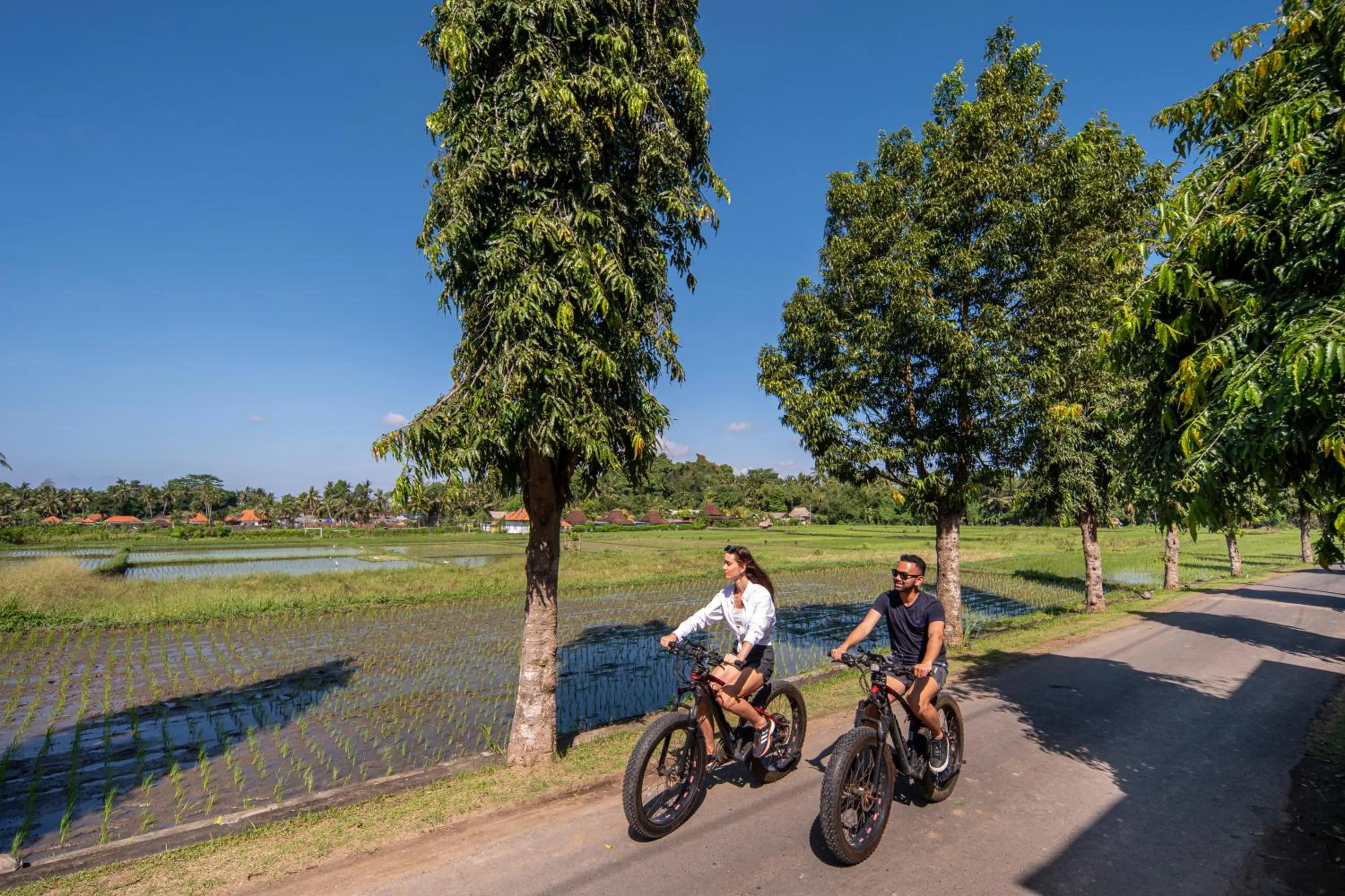 Activities in Emana Bambooscape