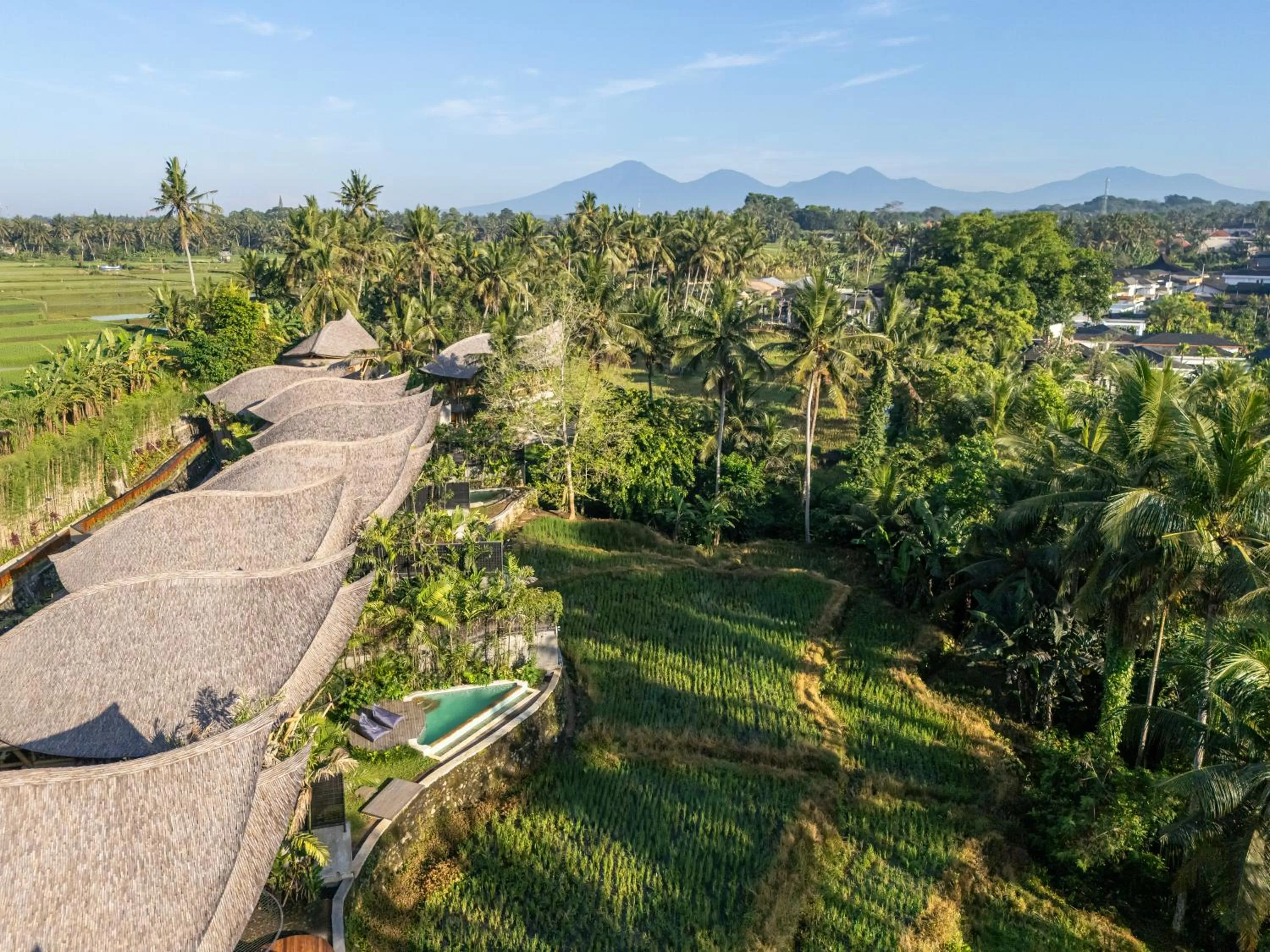 Natural landscape in Emana Bambooscape