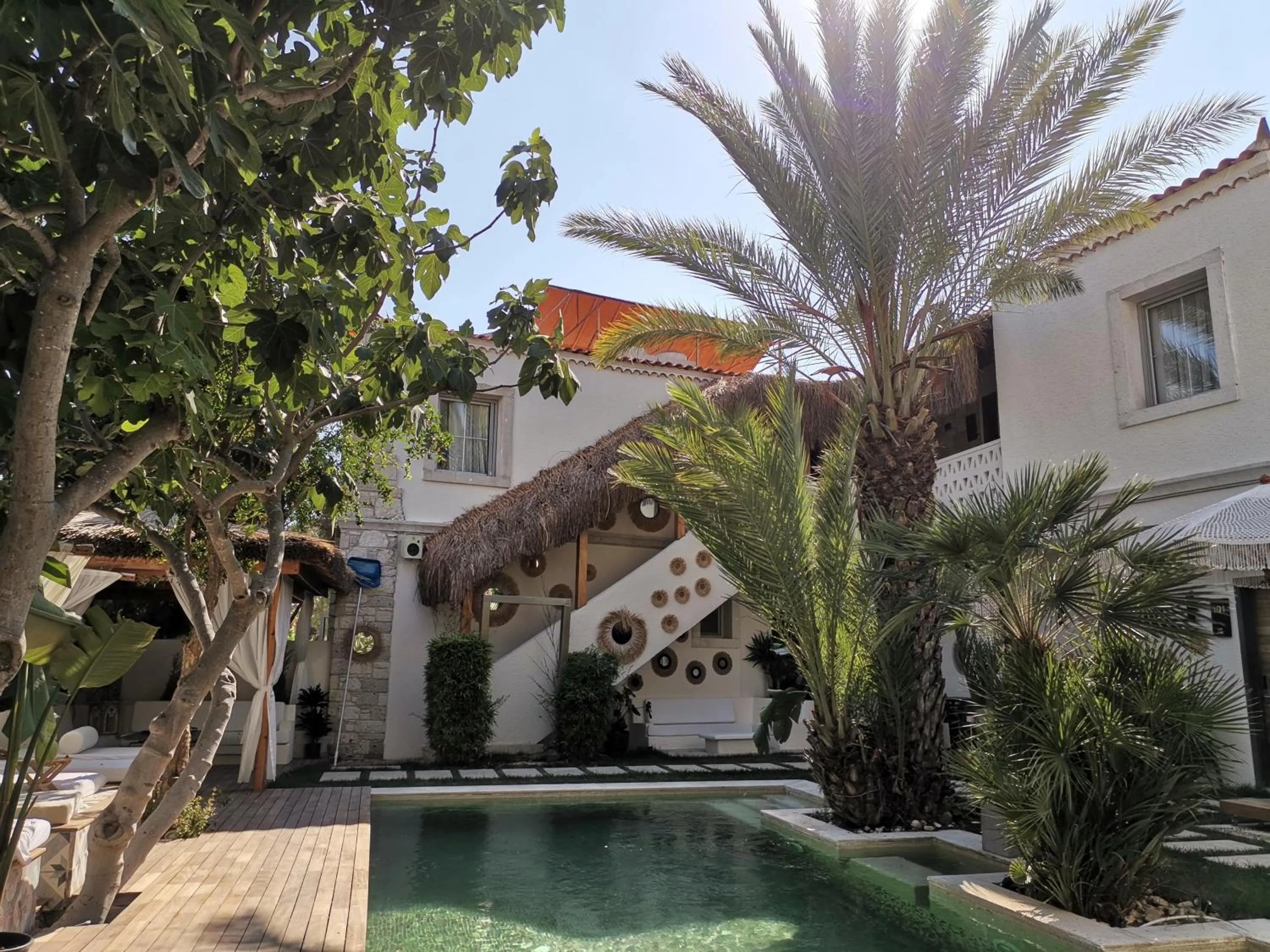 Garden in The ABC Hotel