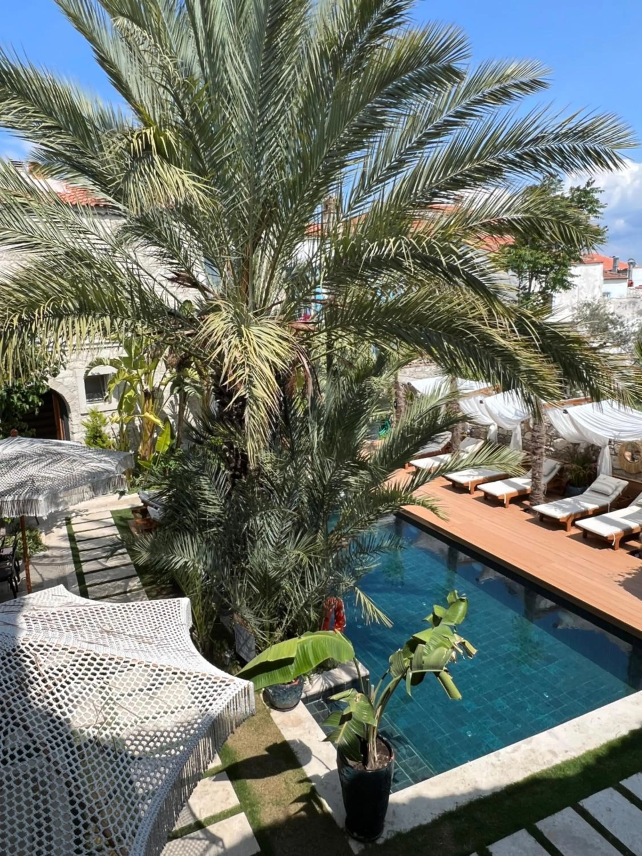 Garden view in The ABC Hotel