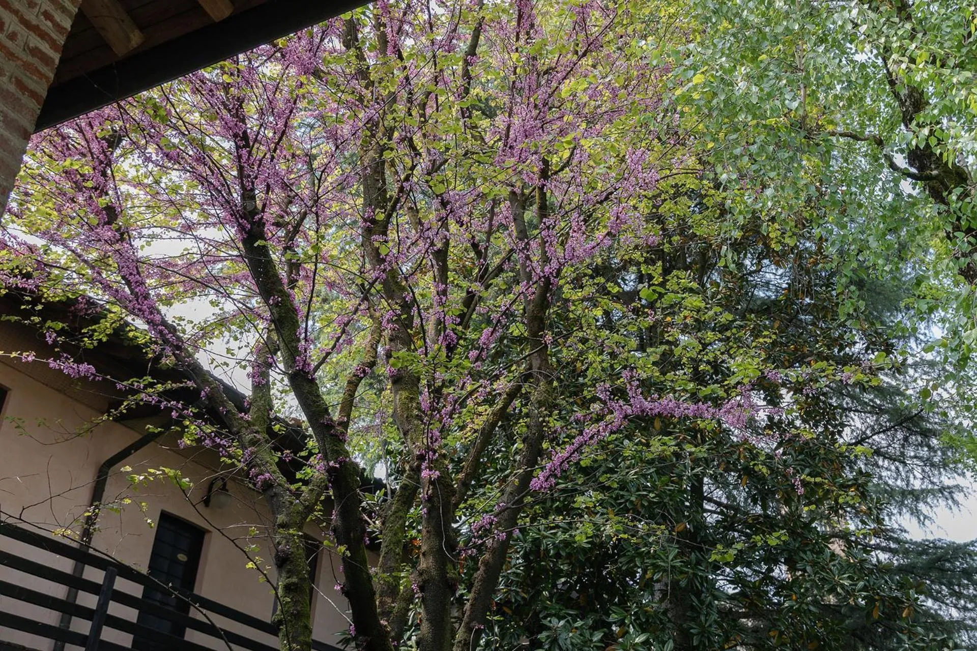 Garden in La Locanda di Sant'Anna