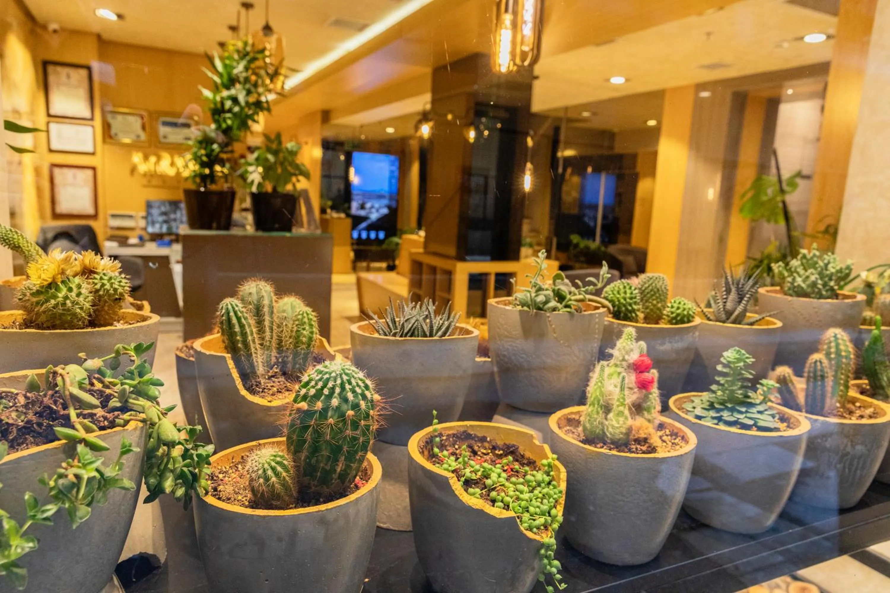 Decorative detail in Ayramin Deluxe Hotel Taksim