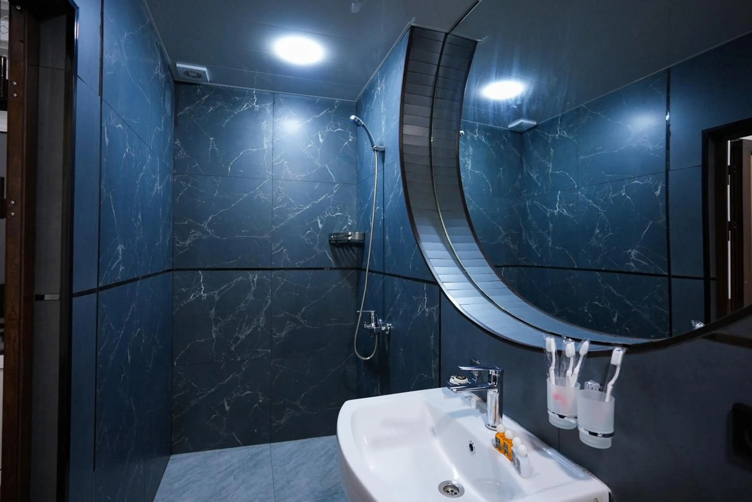 Shower in Chehran Hotel