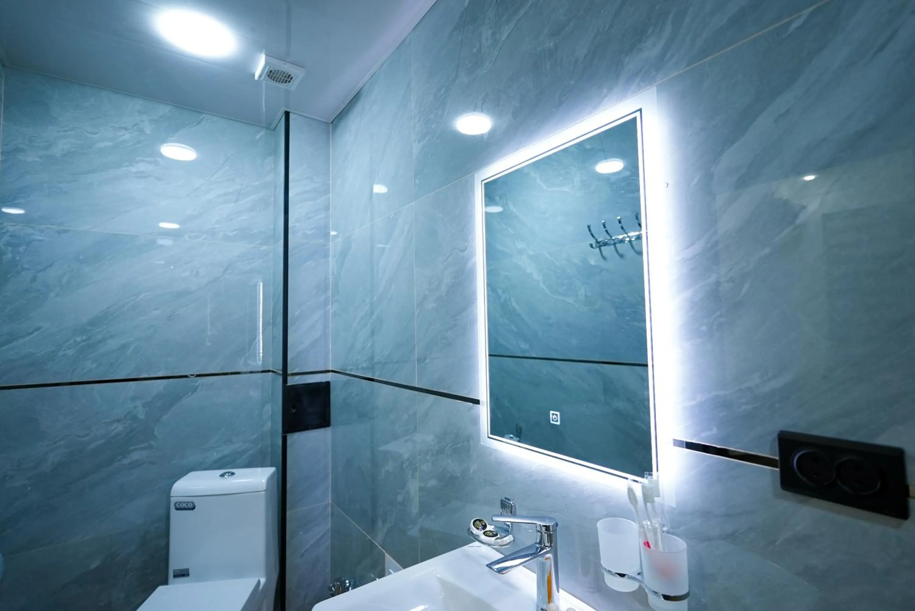 Shower in Chehran Hotel