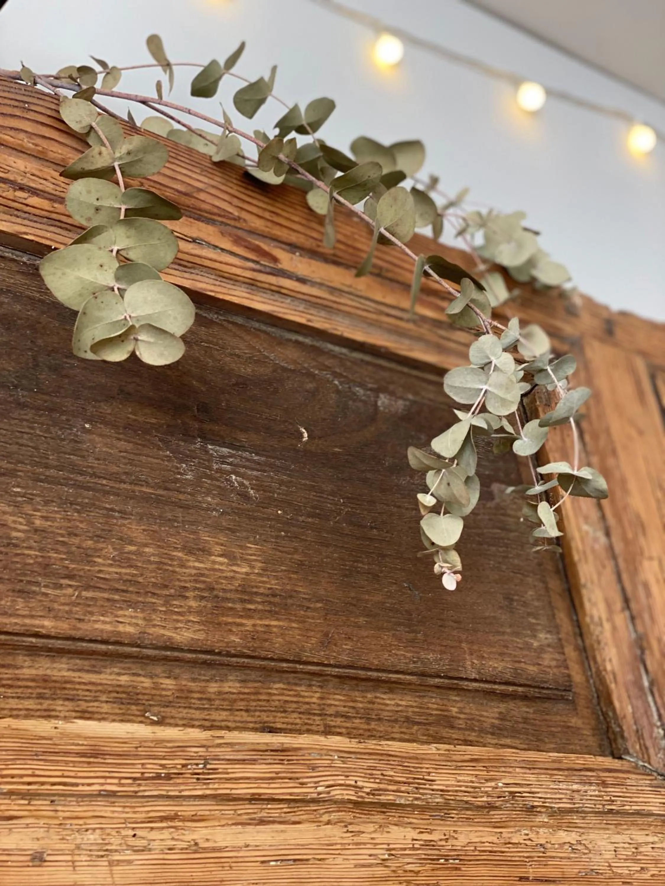 Property building in Albergue Jakue