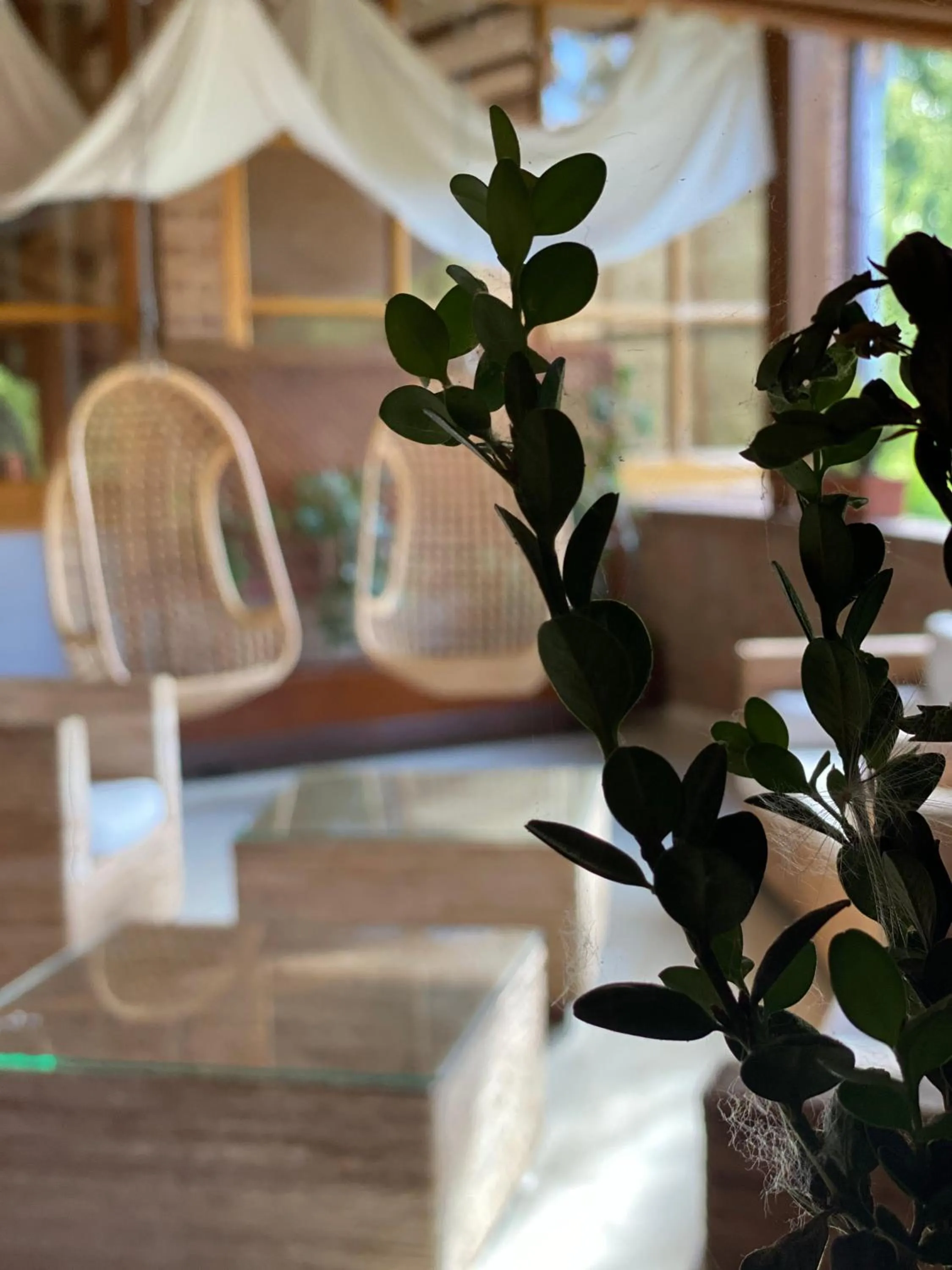 Property building in Albergue Jakue