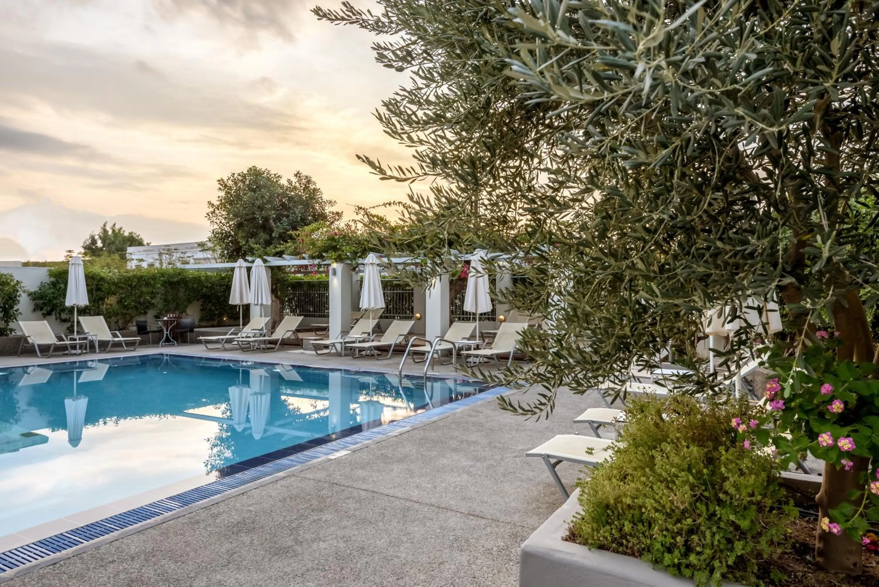 Swimming pool in Nissia Kamares