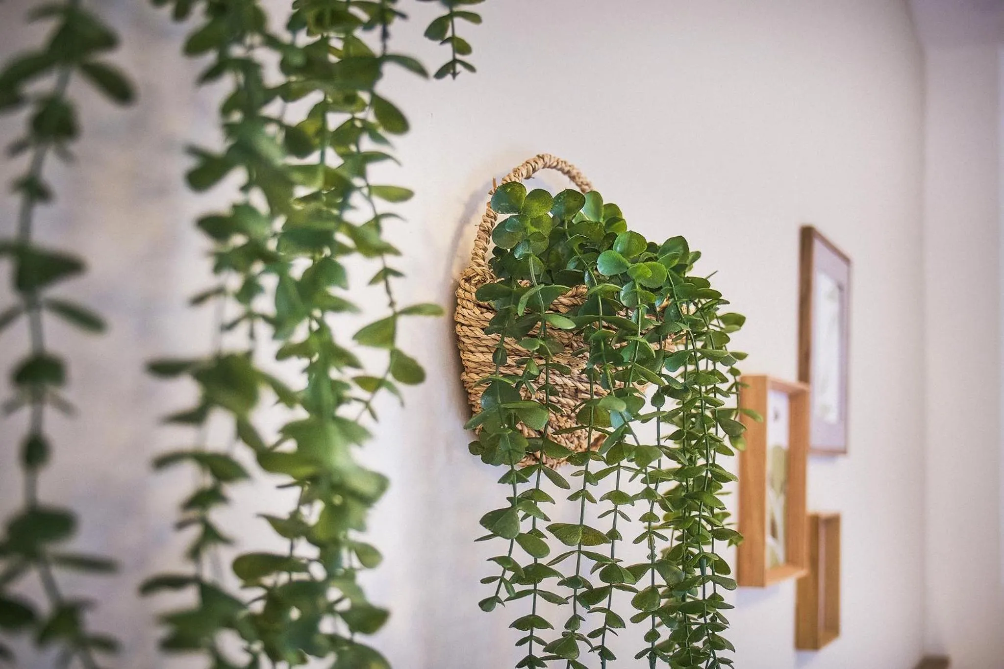 Decorative detail in Delta Dreams Guest House