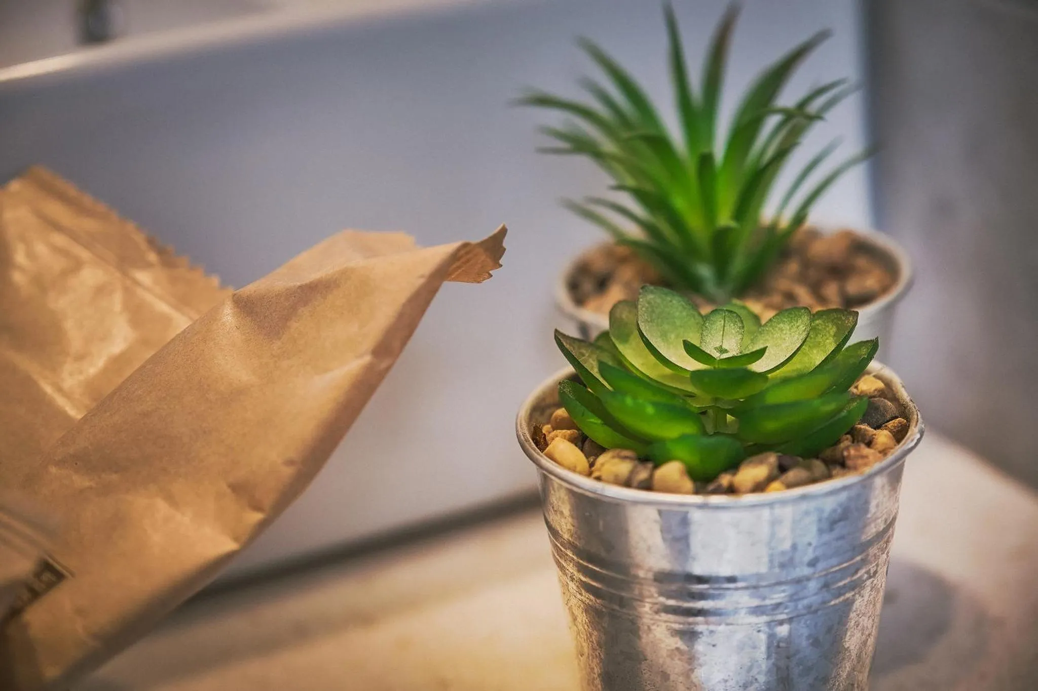 Delta Dreams Guest House