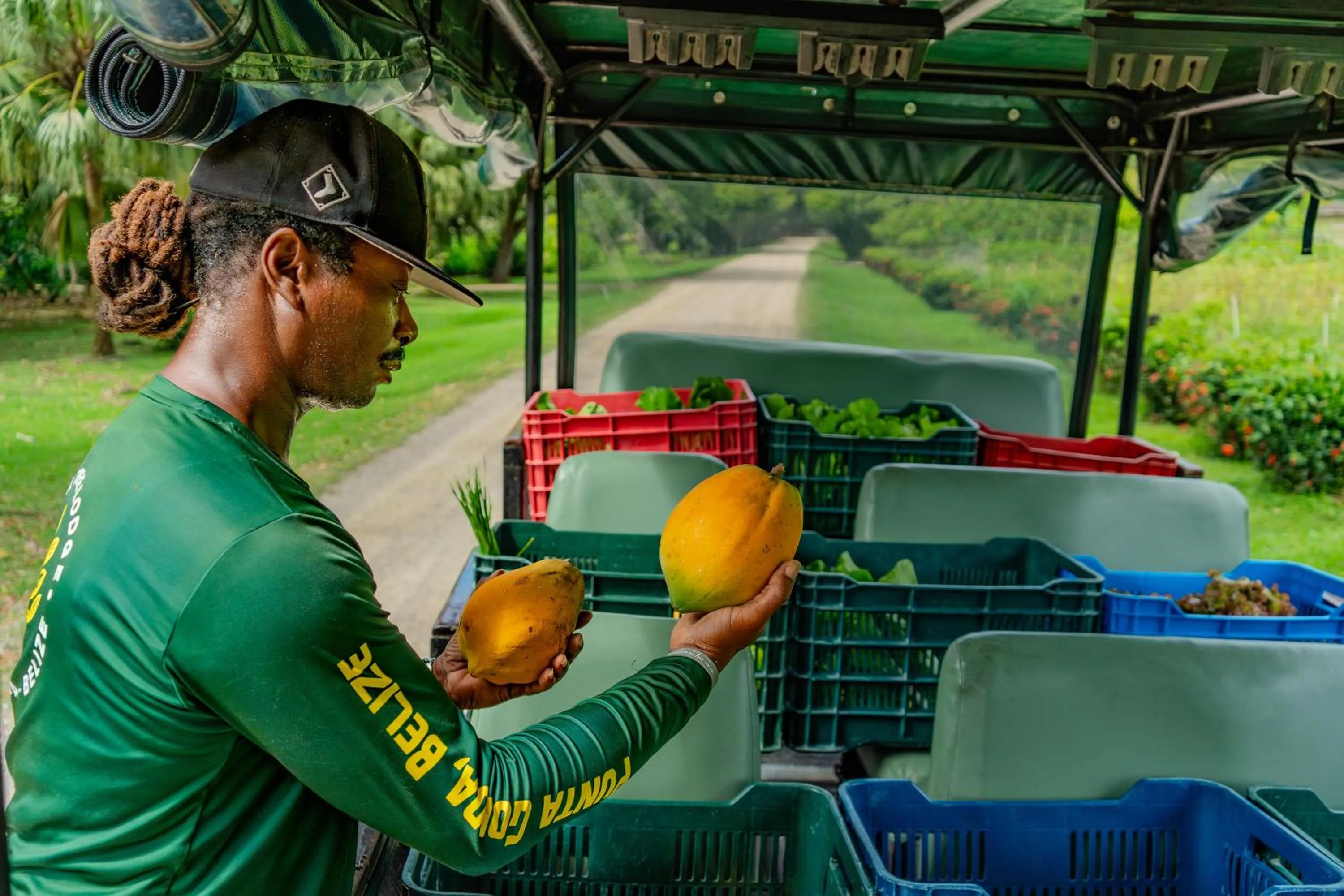 Food in Copal Tree Lodge a Muy'Ono Resort