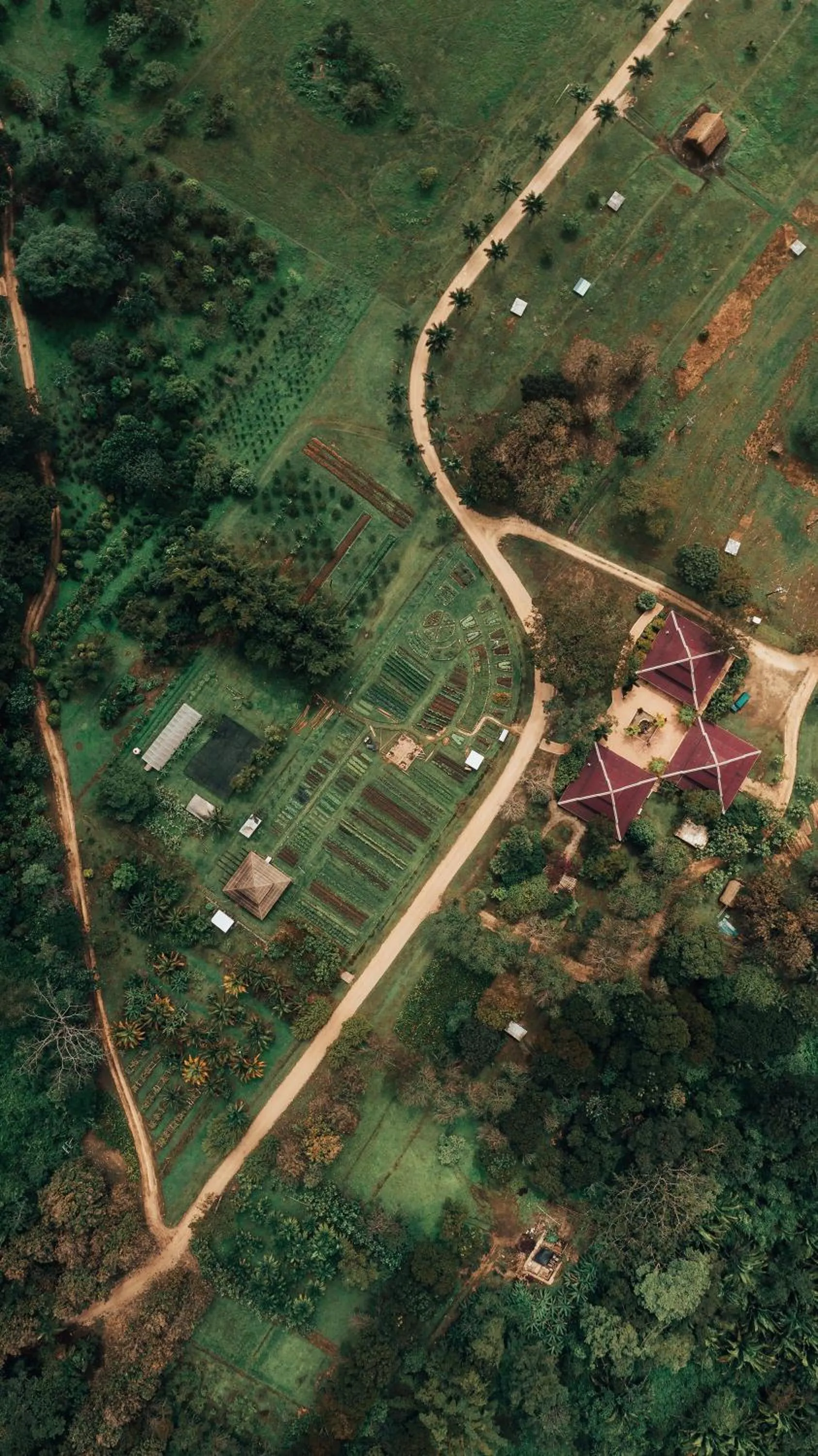 Natural landscape in Copal Tree Lodge a Muy'Ono Resort