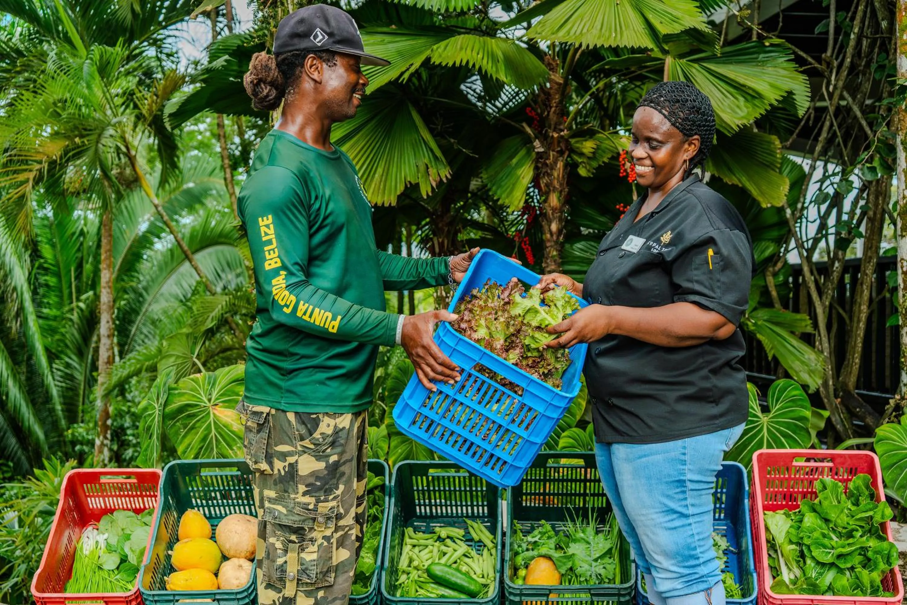 Food in Copal Tree Lodge a Muy'Ono Resort