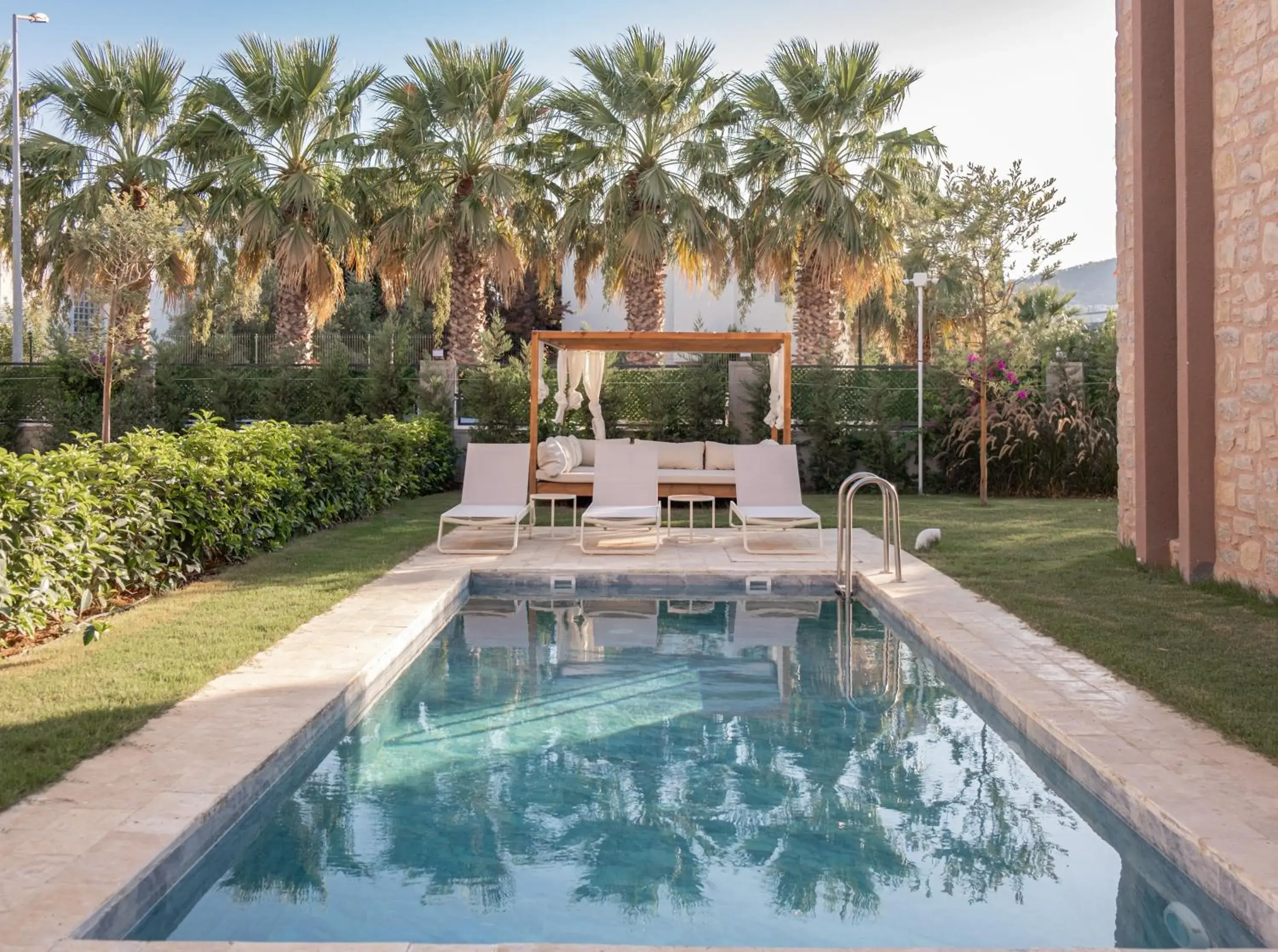 Mimosa Mansions Mimosa Mansions