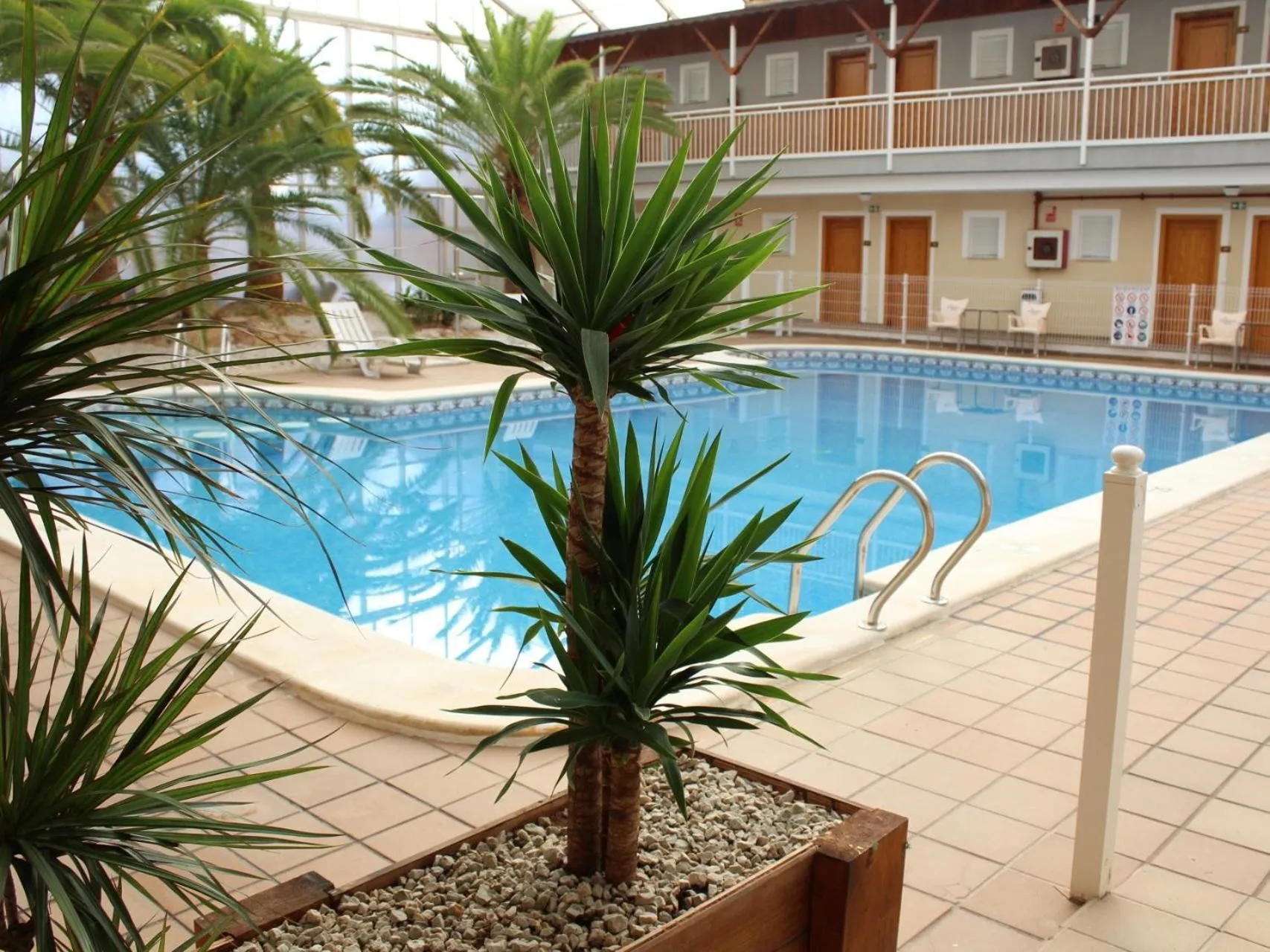 Pool view in Hotel Algorfa