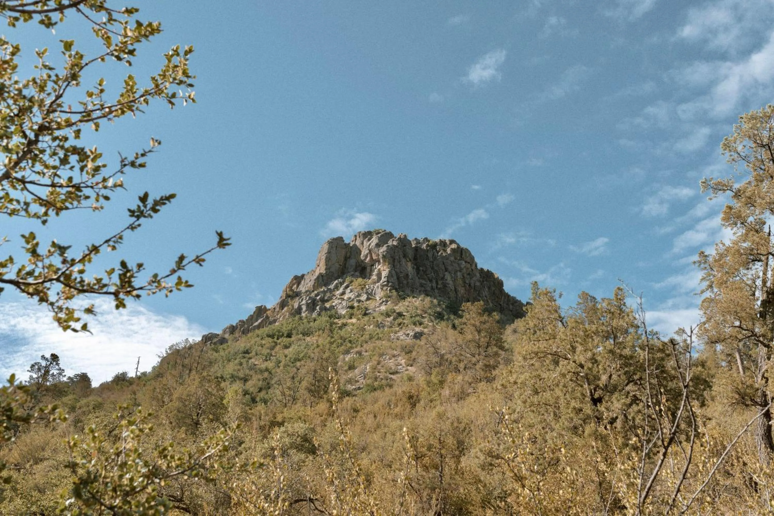 Area and facilities in Hotel St Michael, BW Premier Collection