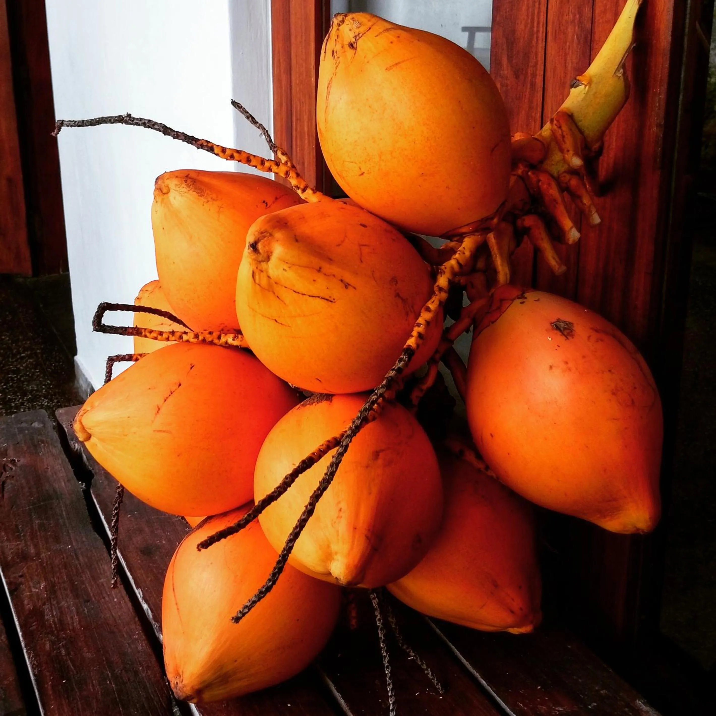 Decorative detail in Sunset Fort Galle