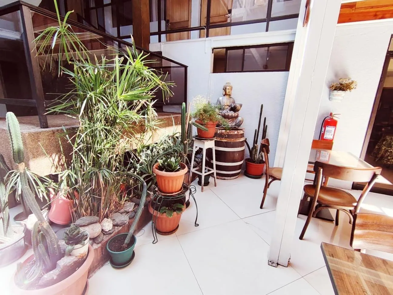 Garden in Hotel Cano