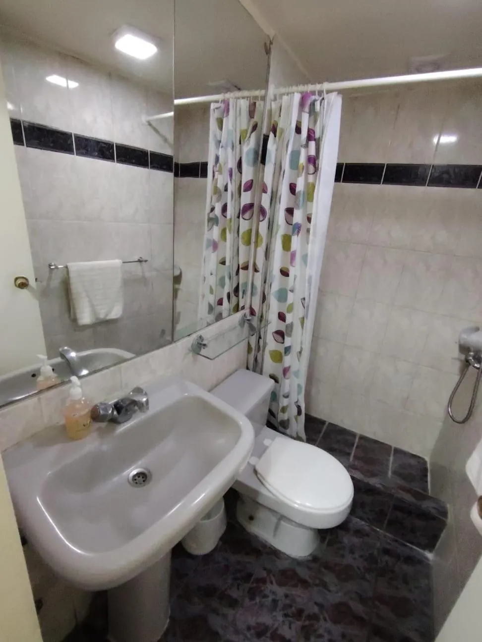 Toilet in Hotel Cano